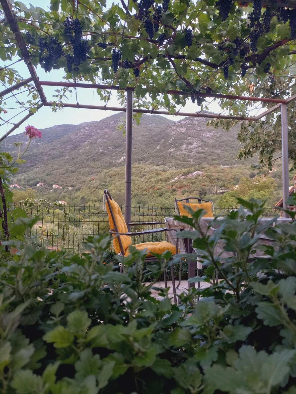 Aleksa view 5