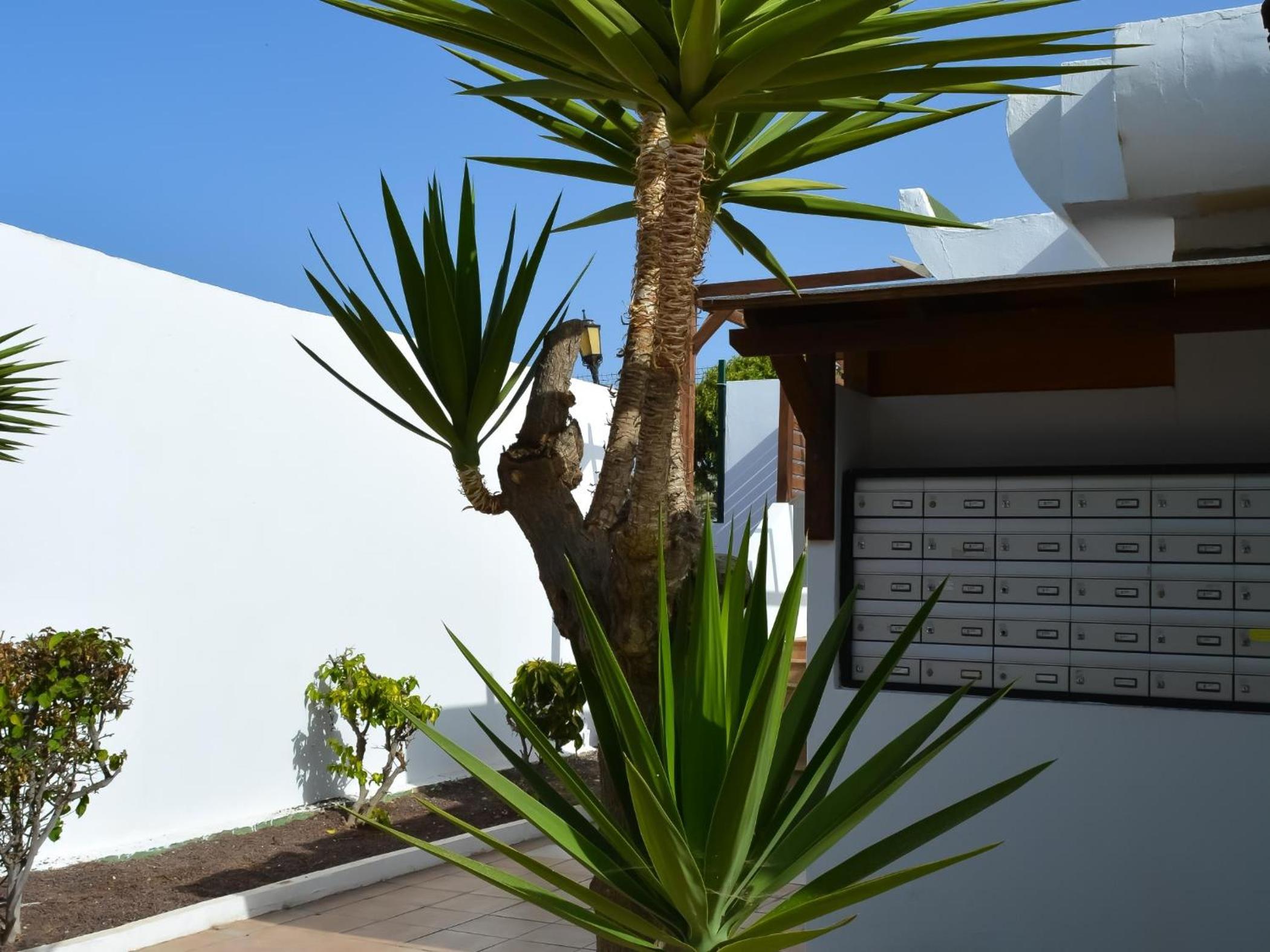 Dunasol 341 by Best Holidays Fuerteventura view 5