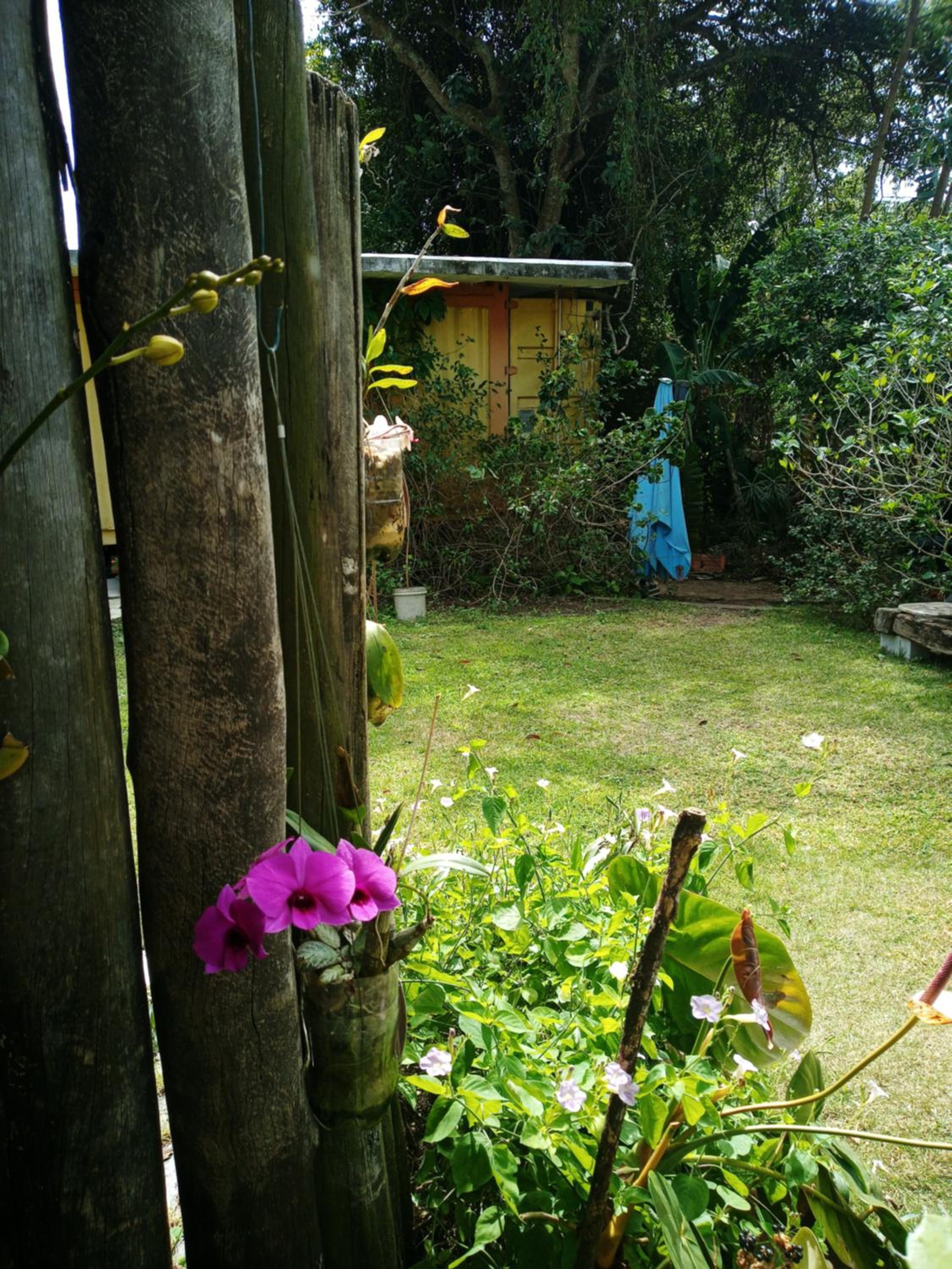 Photo 40