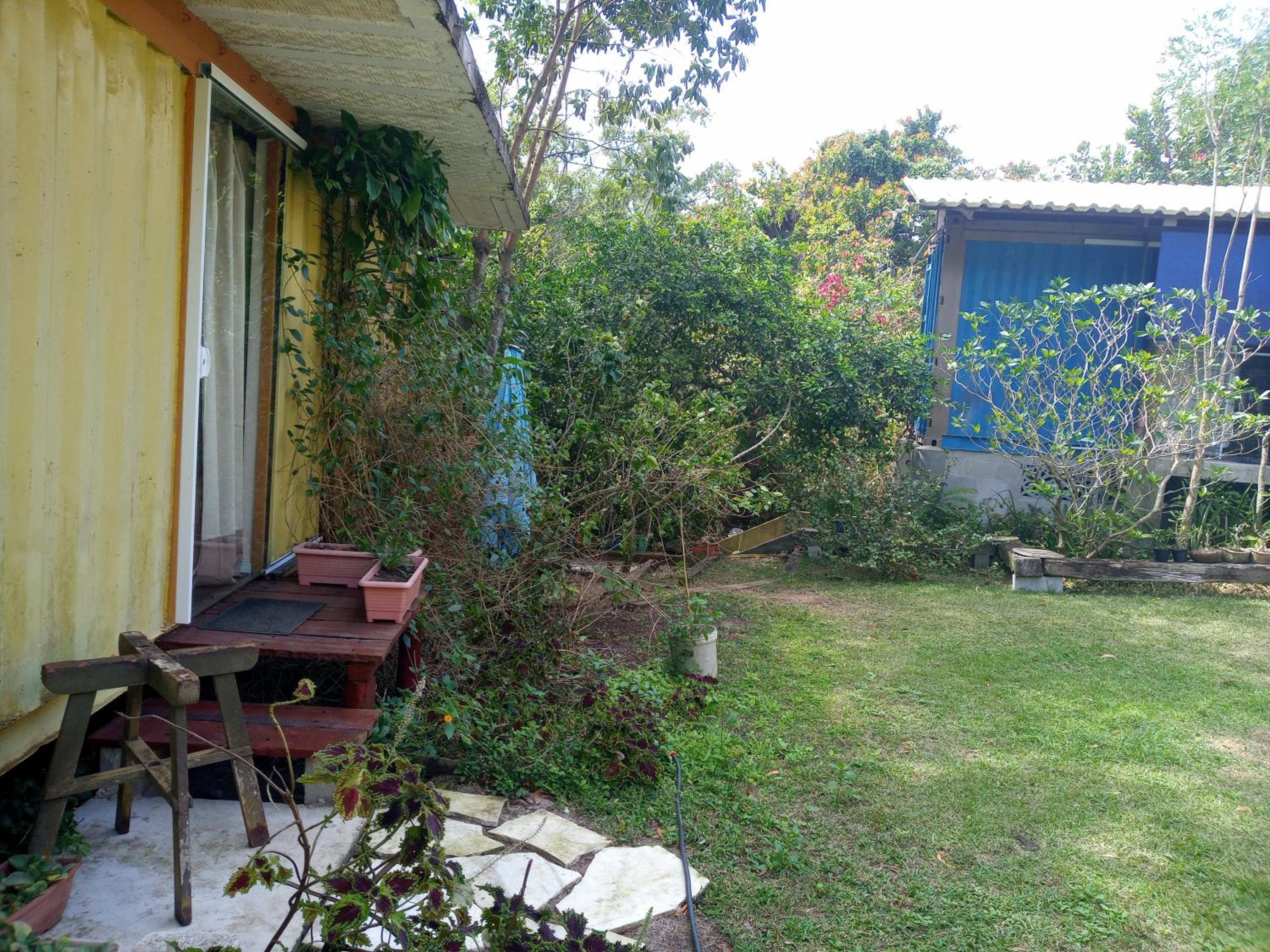 Photo 43