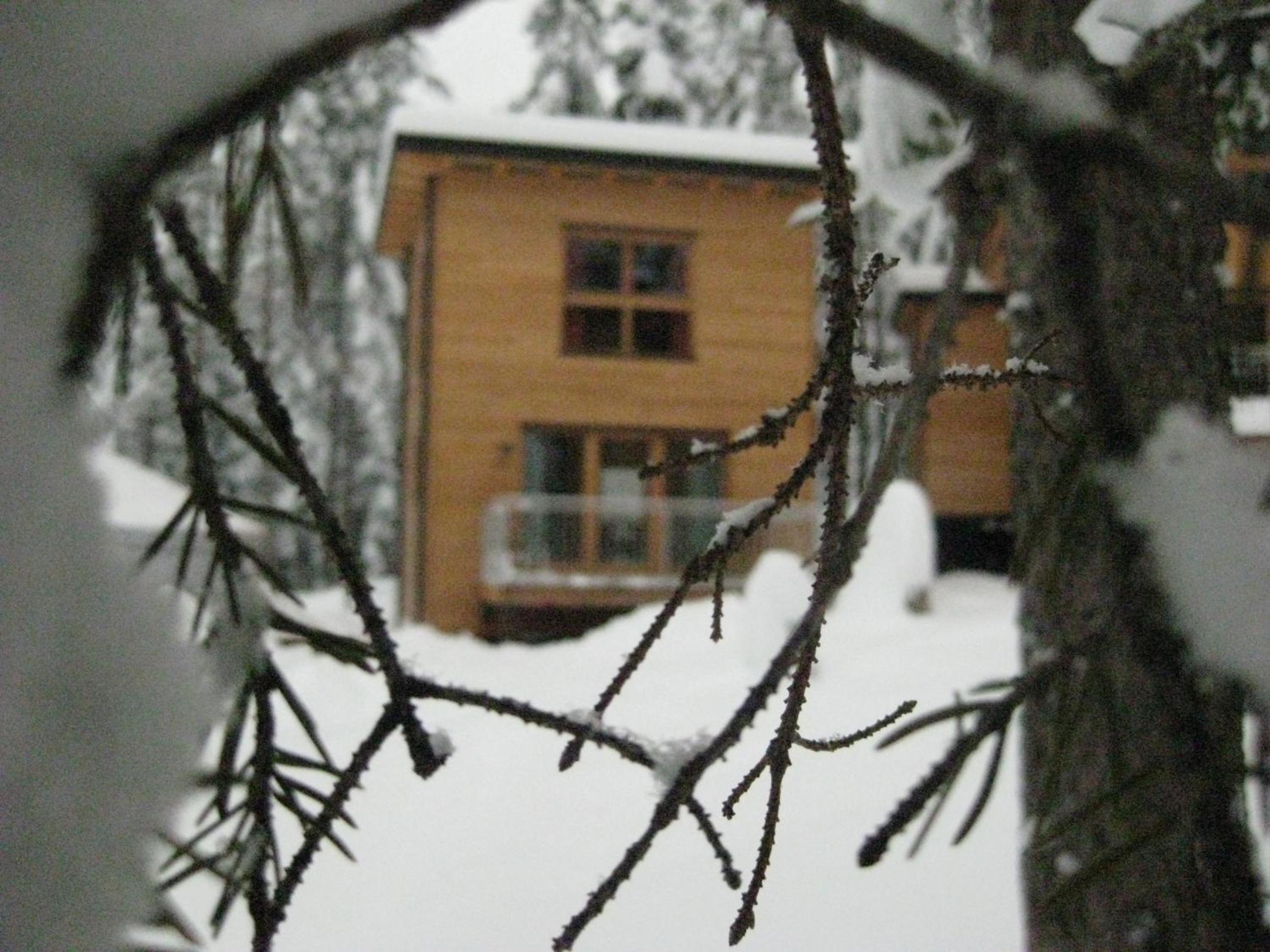 Forest Chalet Resort FELIZITAS