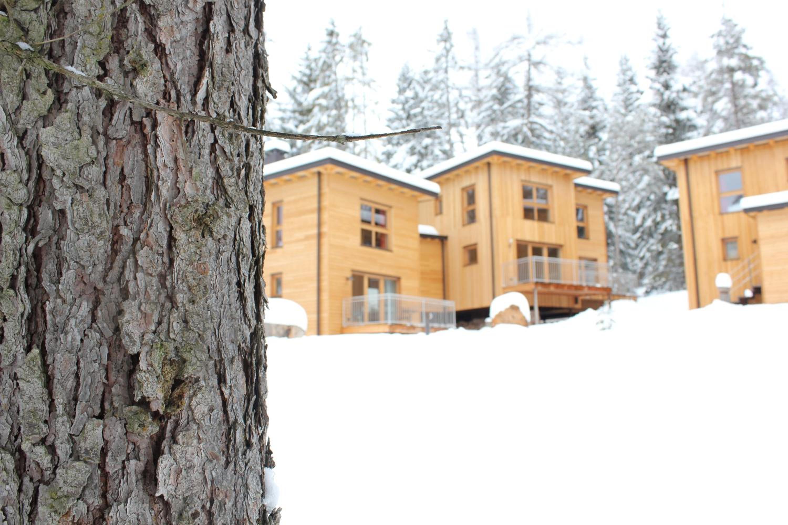 Forest Chalet Resort FELIZITAS