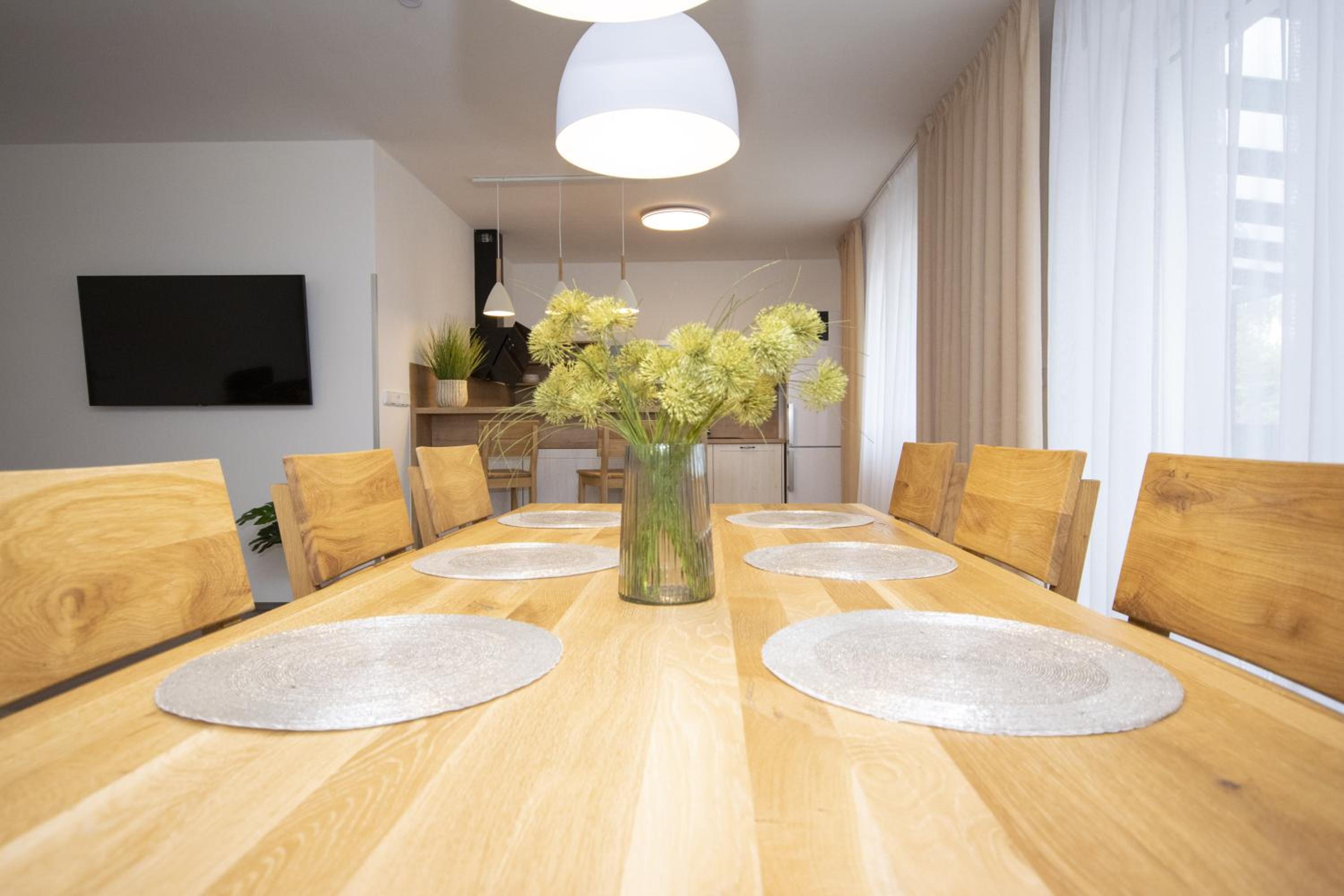 Apartmán LIPNO Z1 - Frymburk view 2