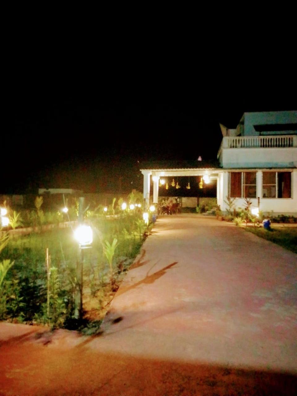 Photo 8