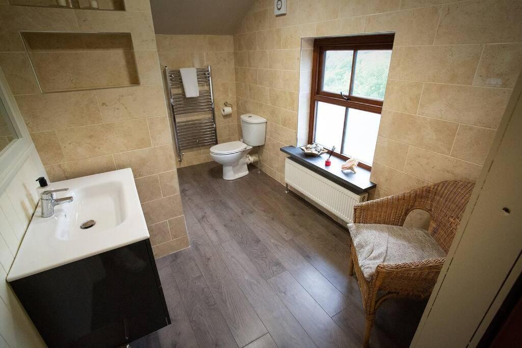 Cosy Cottage in Wild Countryside by Llys-y-Fran view 4