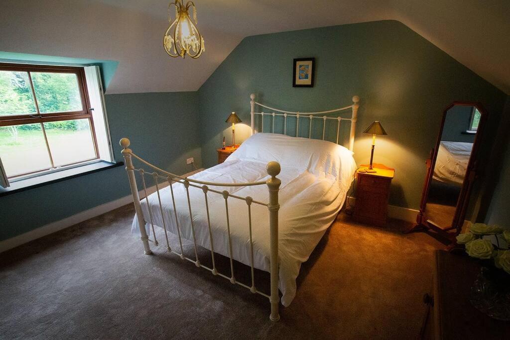 Cosy Cottage in Wild Countryside by Llys-y-Fran view 3