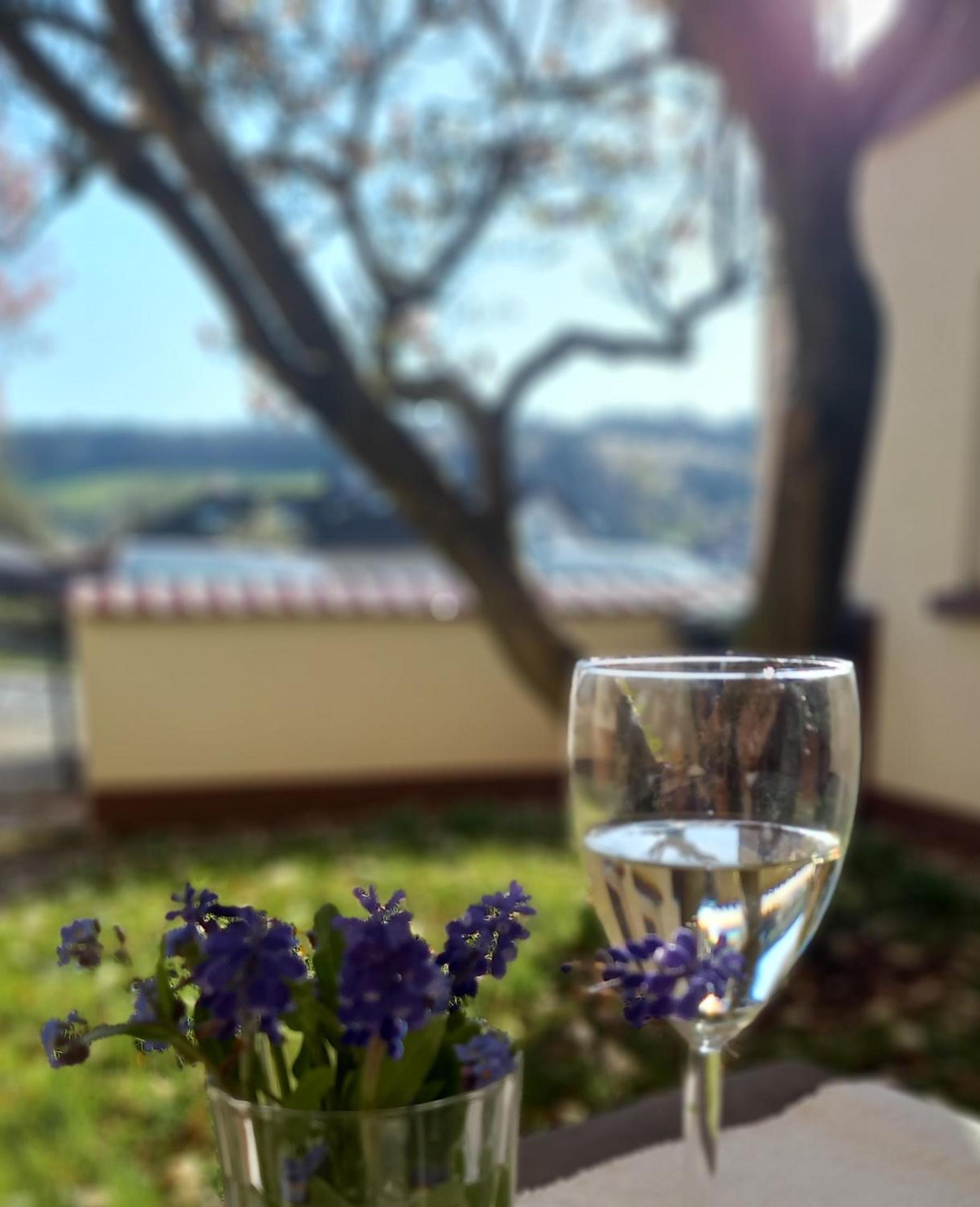 Odenwald Heaven