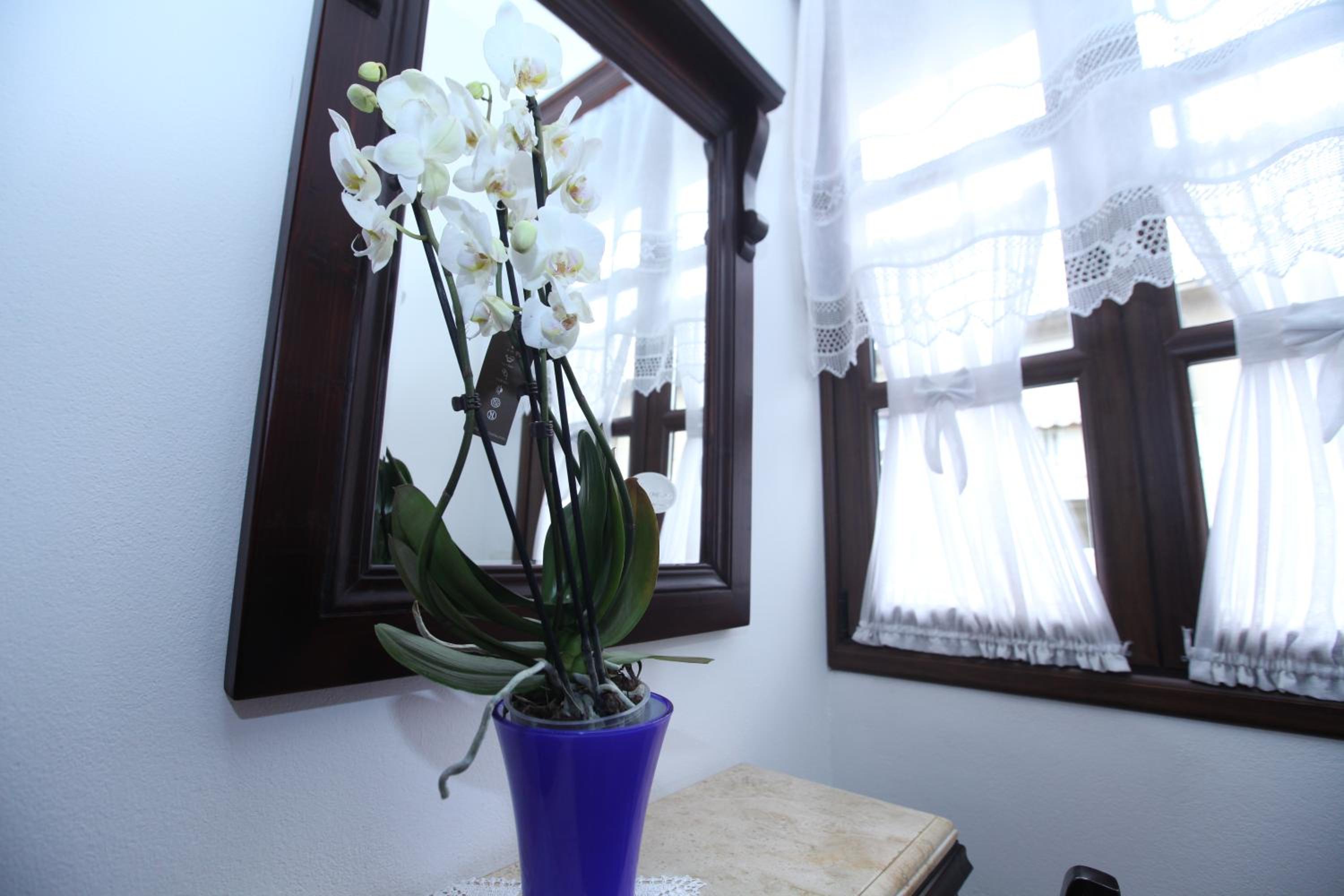 Hotel Antipatrea