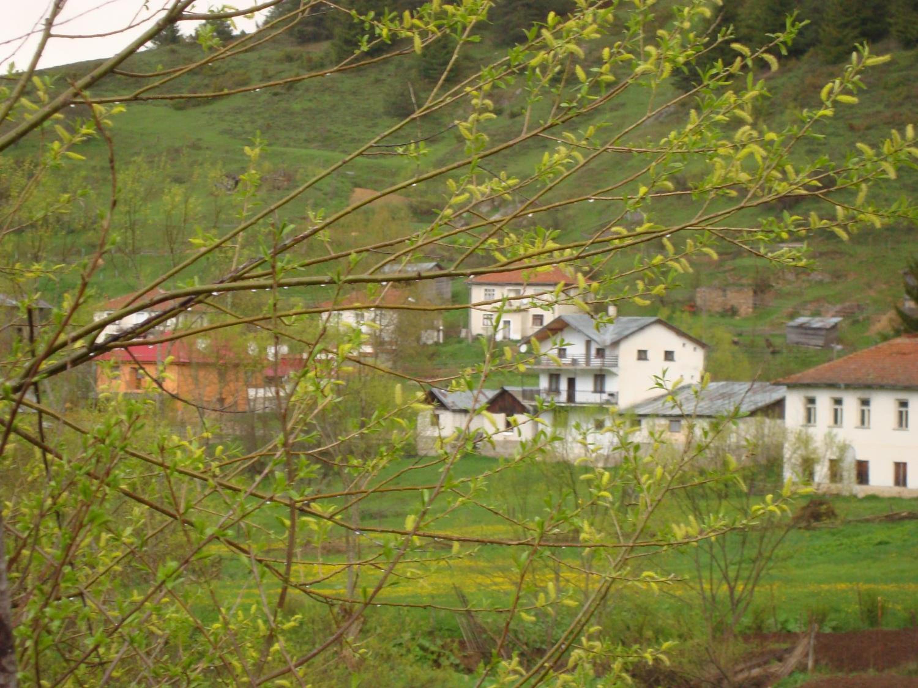 Kuma Lissa Guest House