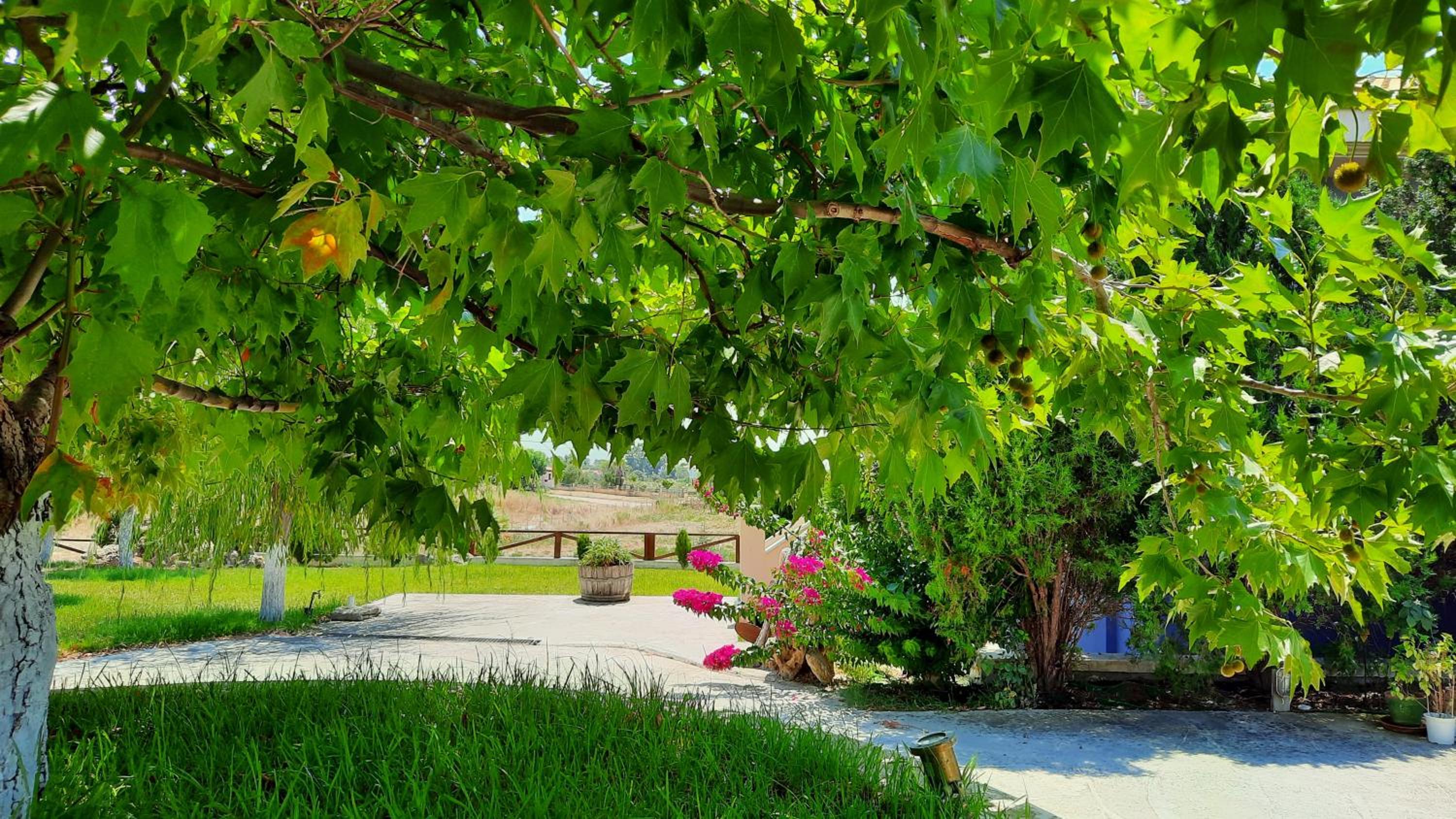 Alekos Beach Houses-Angelo view 3