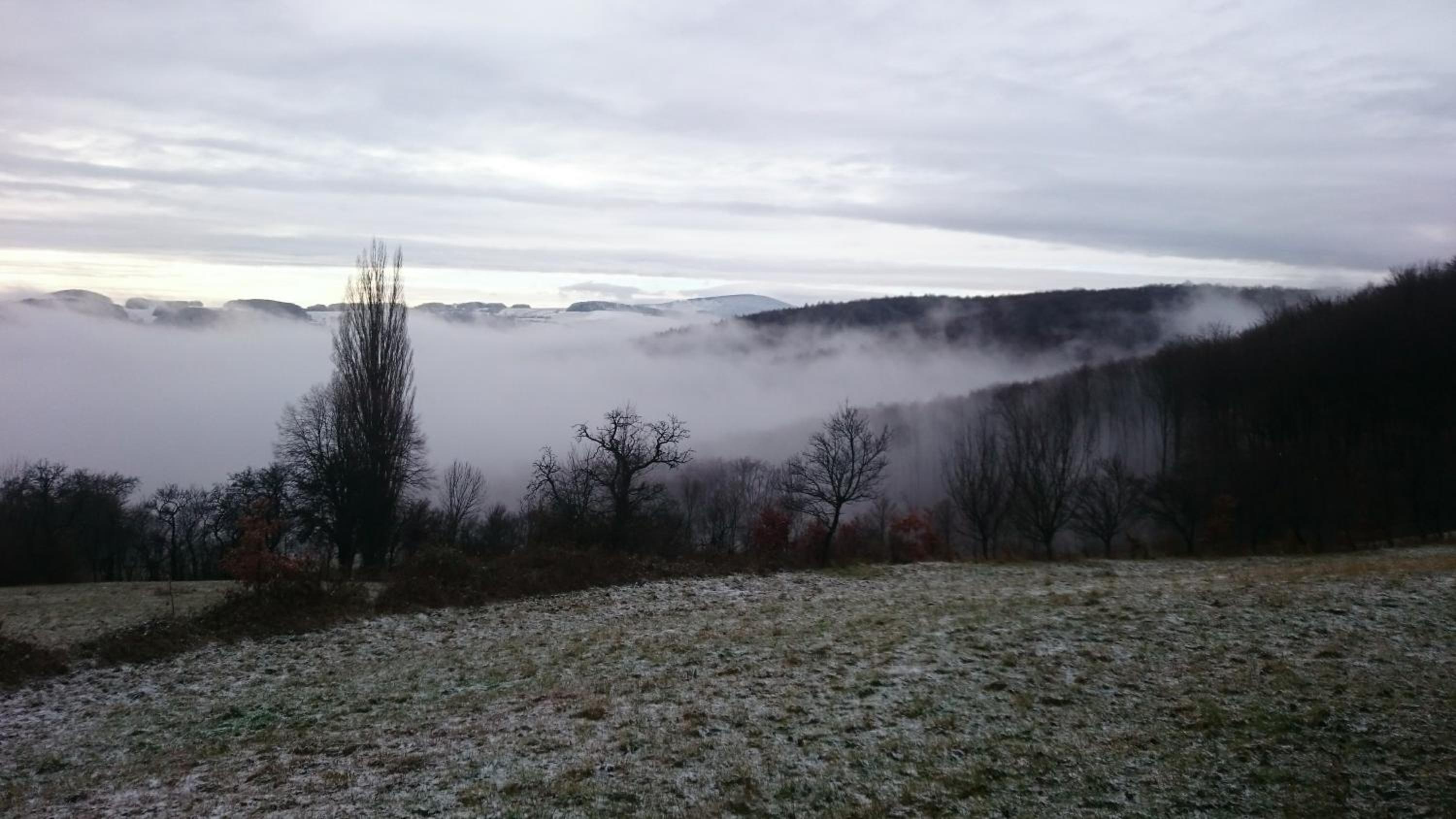 Nature Homestay