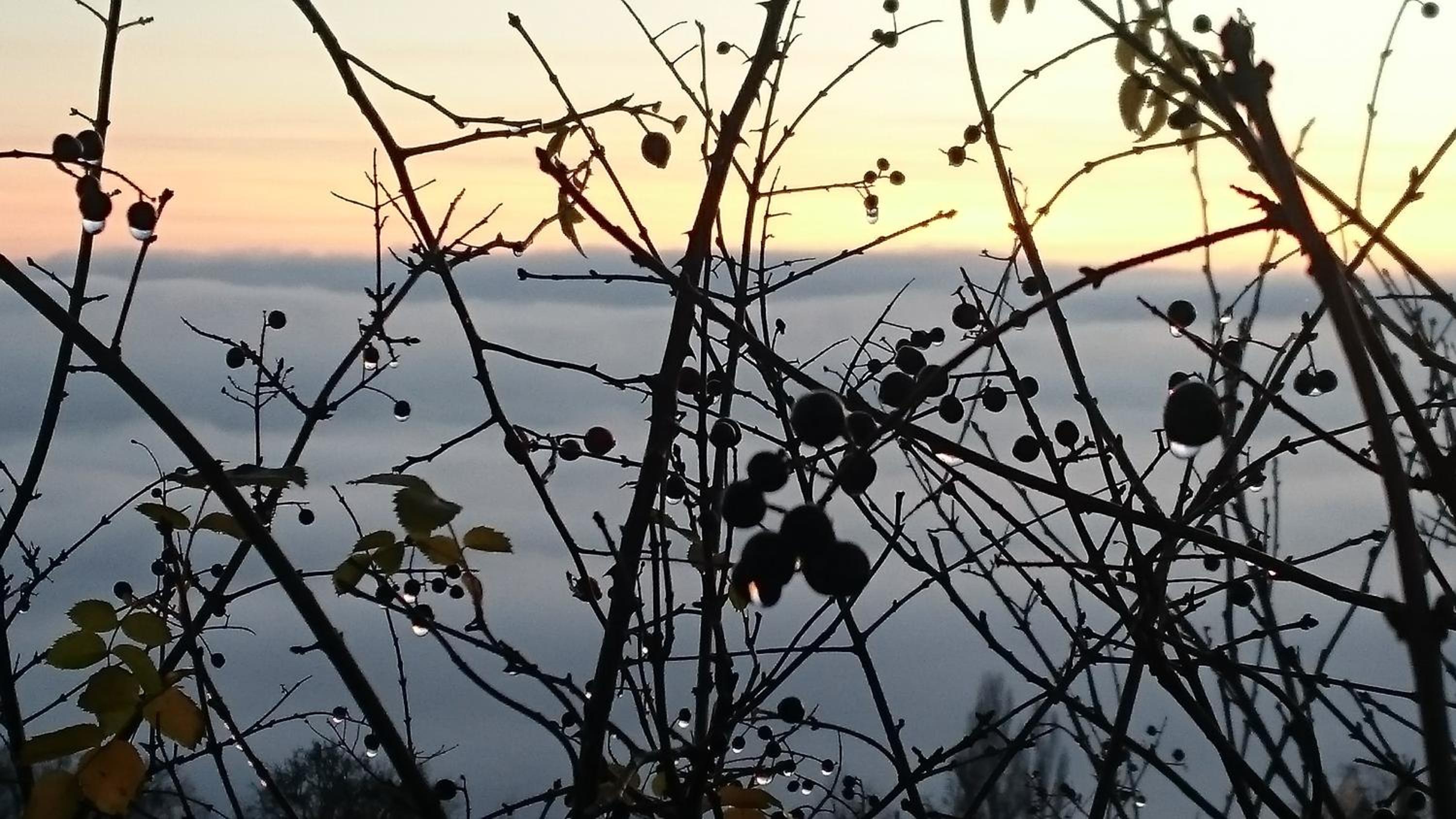 Nature Homestay en Trenčín
