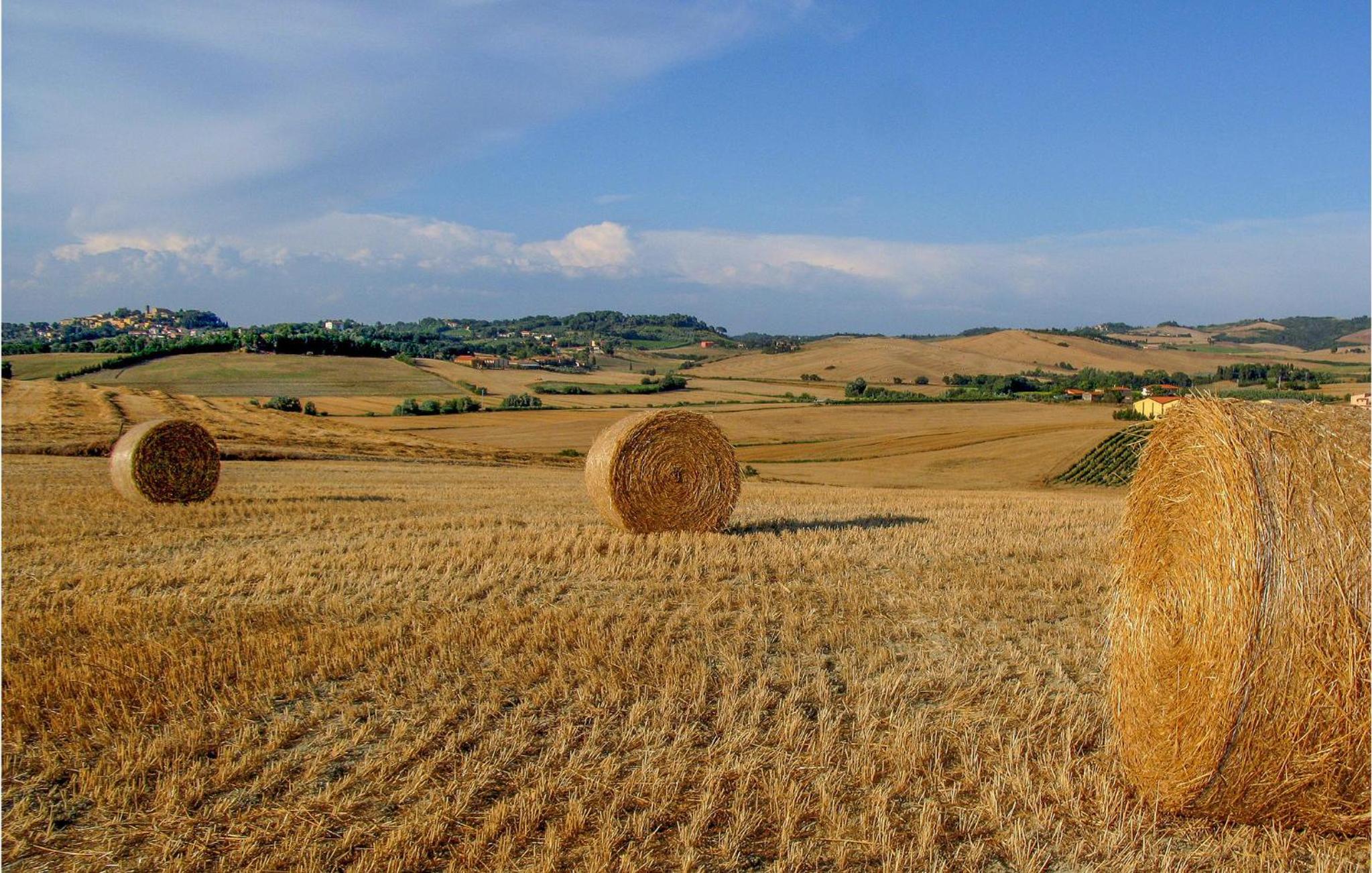 Beautiful Home In Volterra view 5