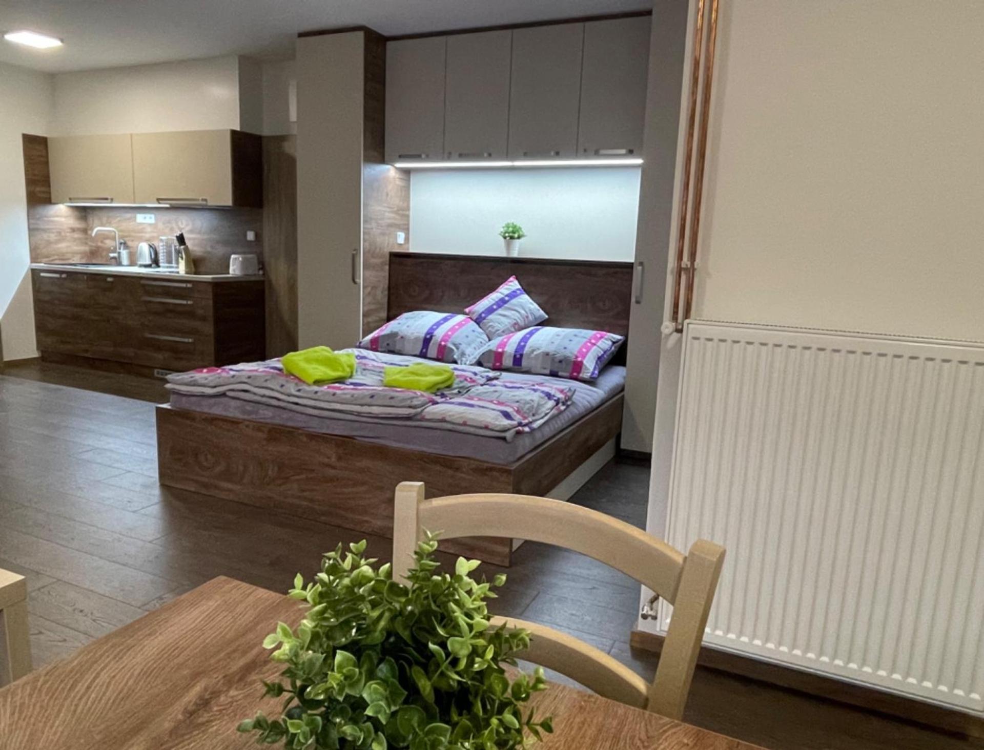 Apartment WELLNESS Vlčková