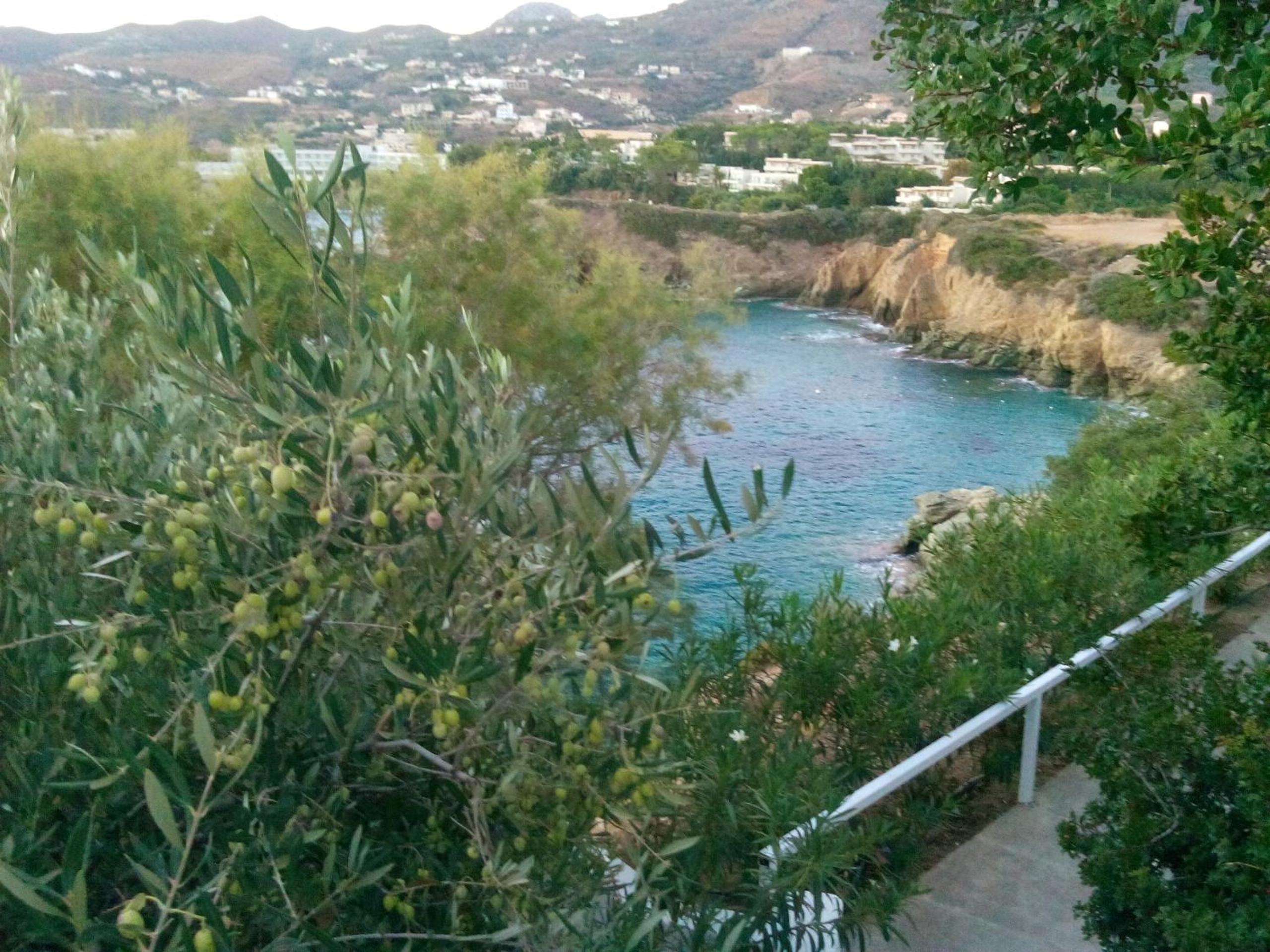 Photo 35