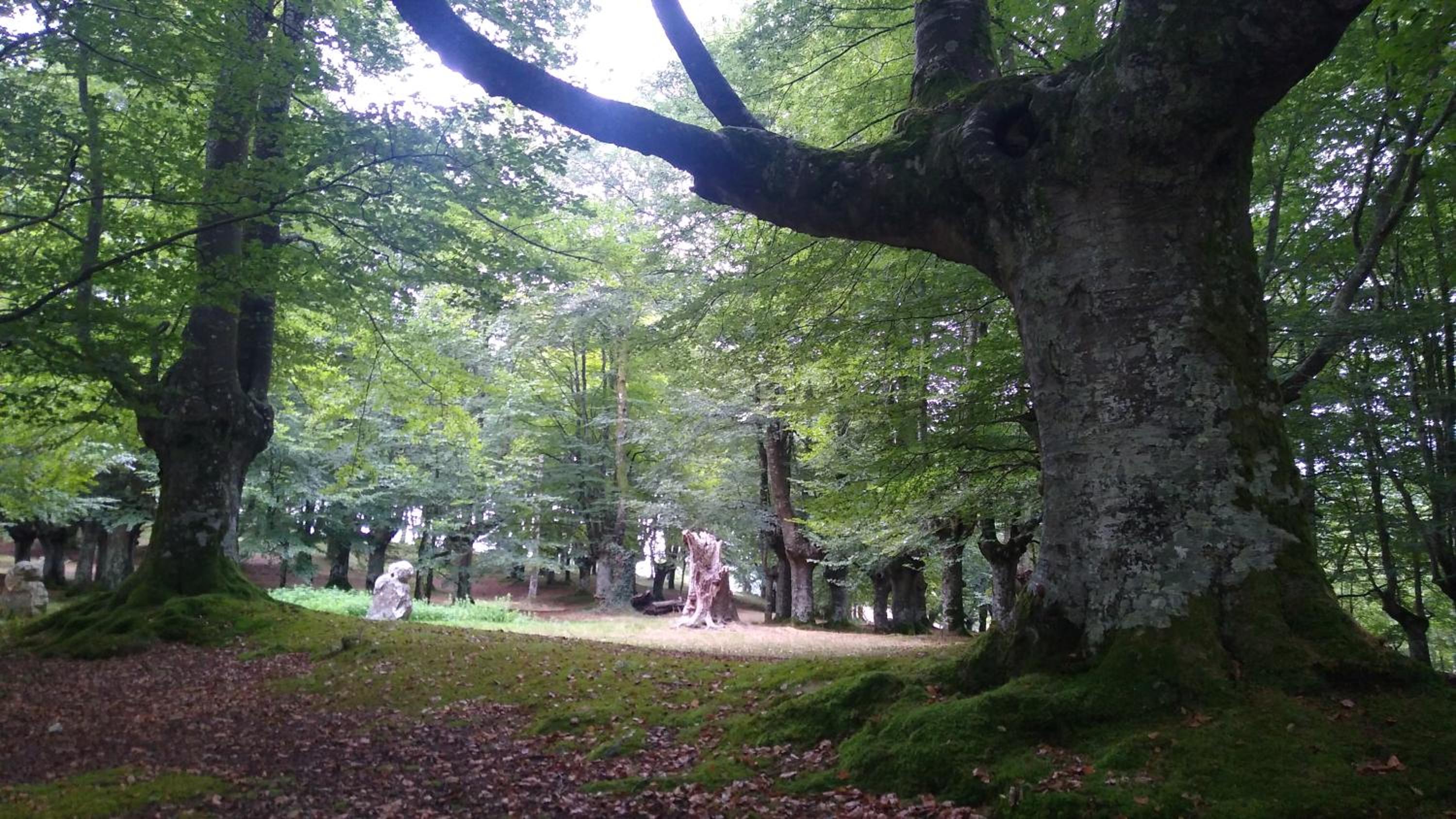 Photo 14