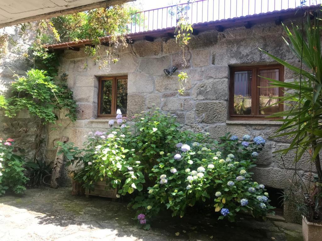 Photo 51