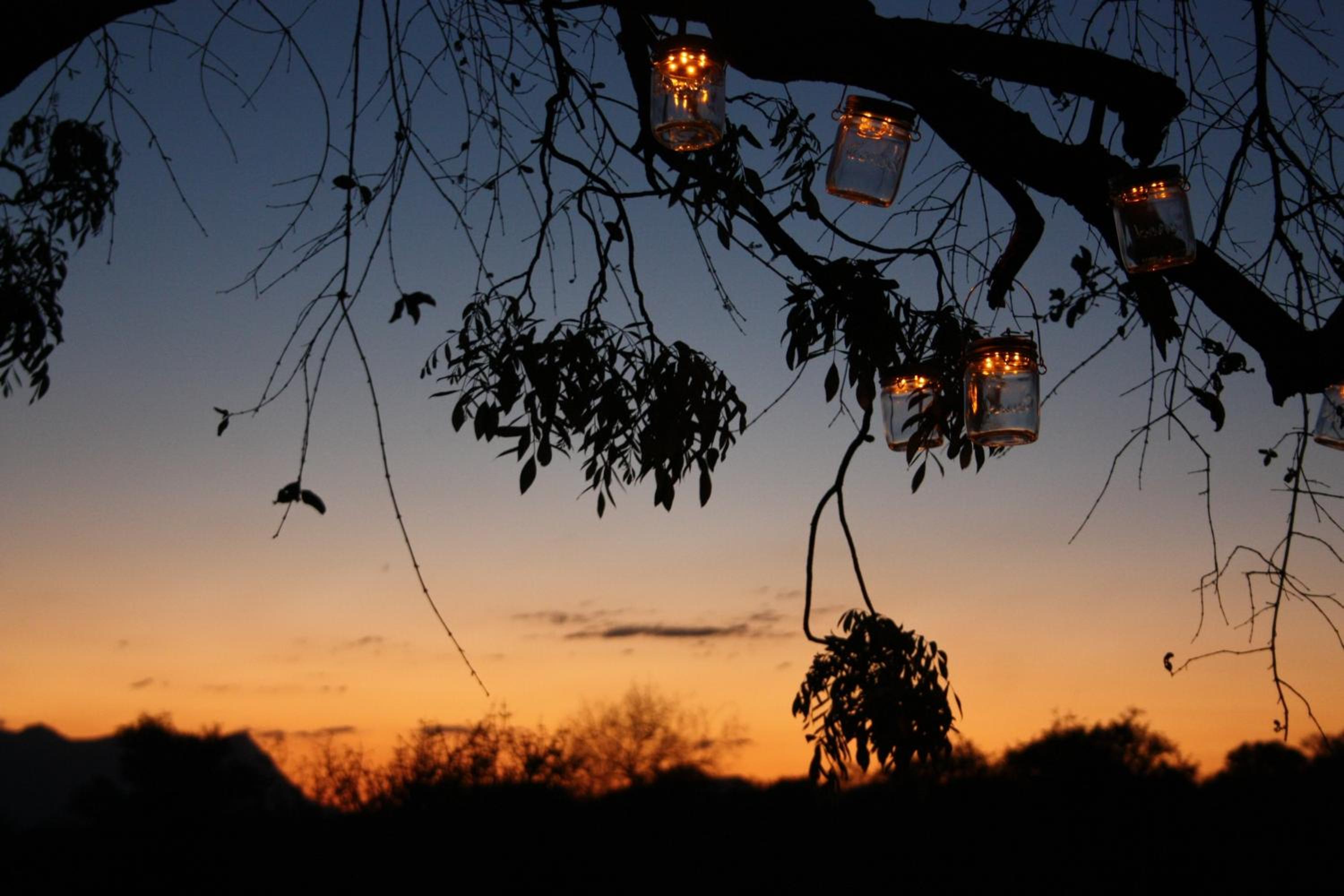 Khaya Ndlovu Safari Manor