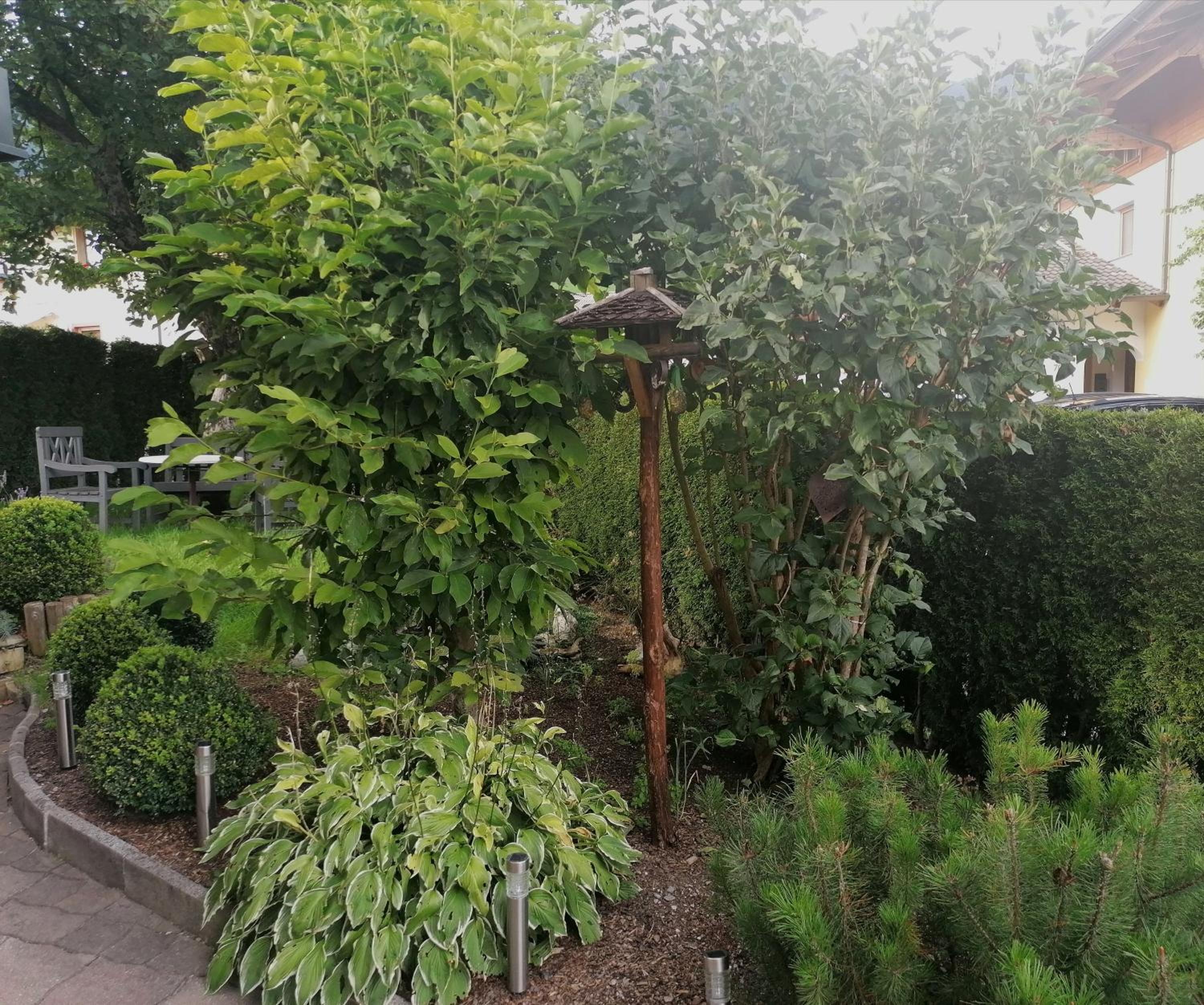 Photo 41