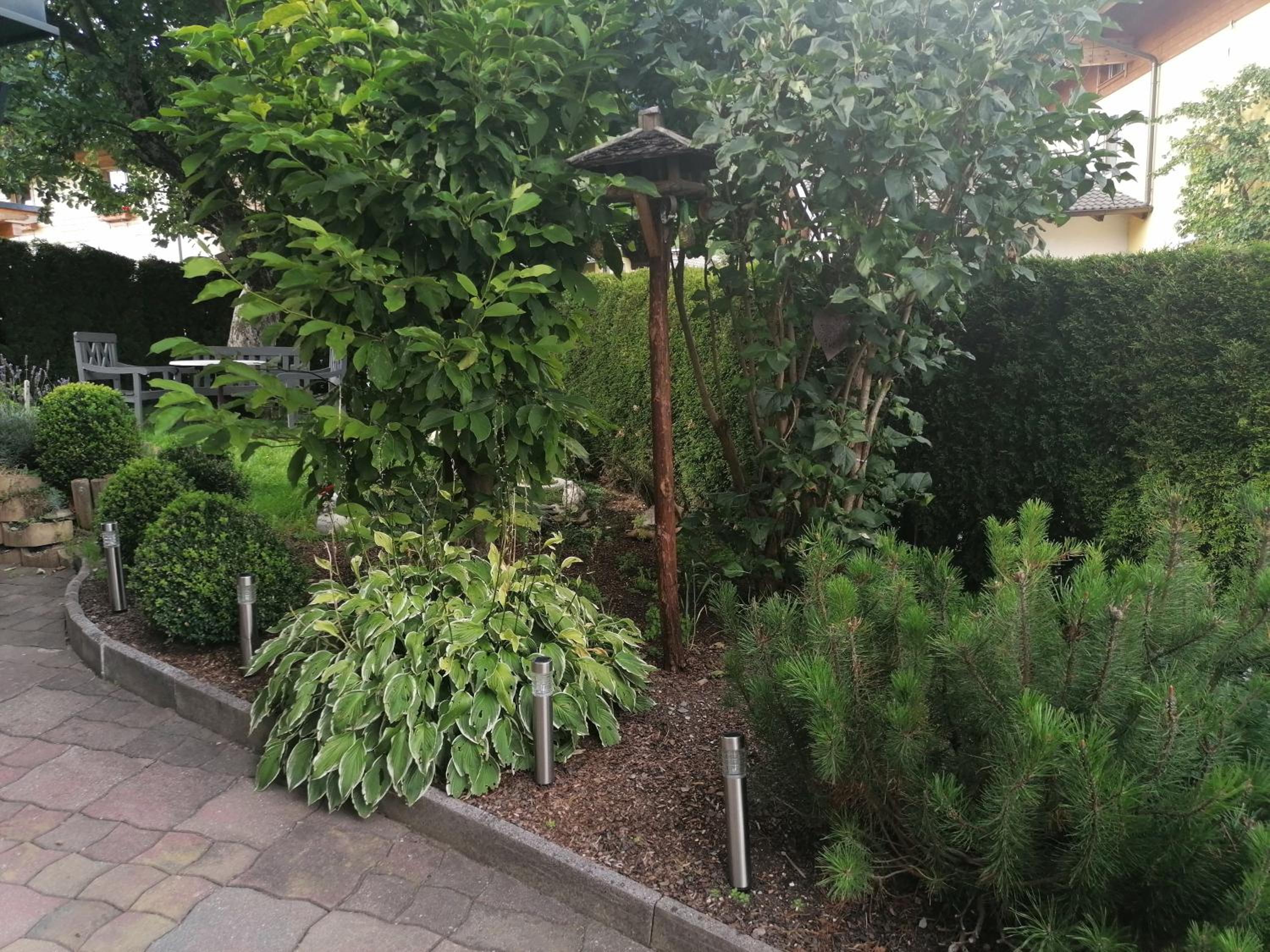 Photo 42