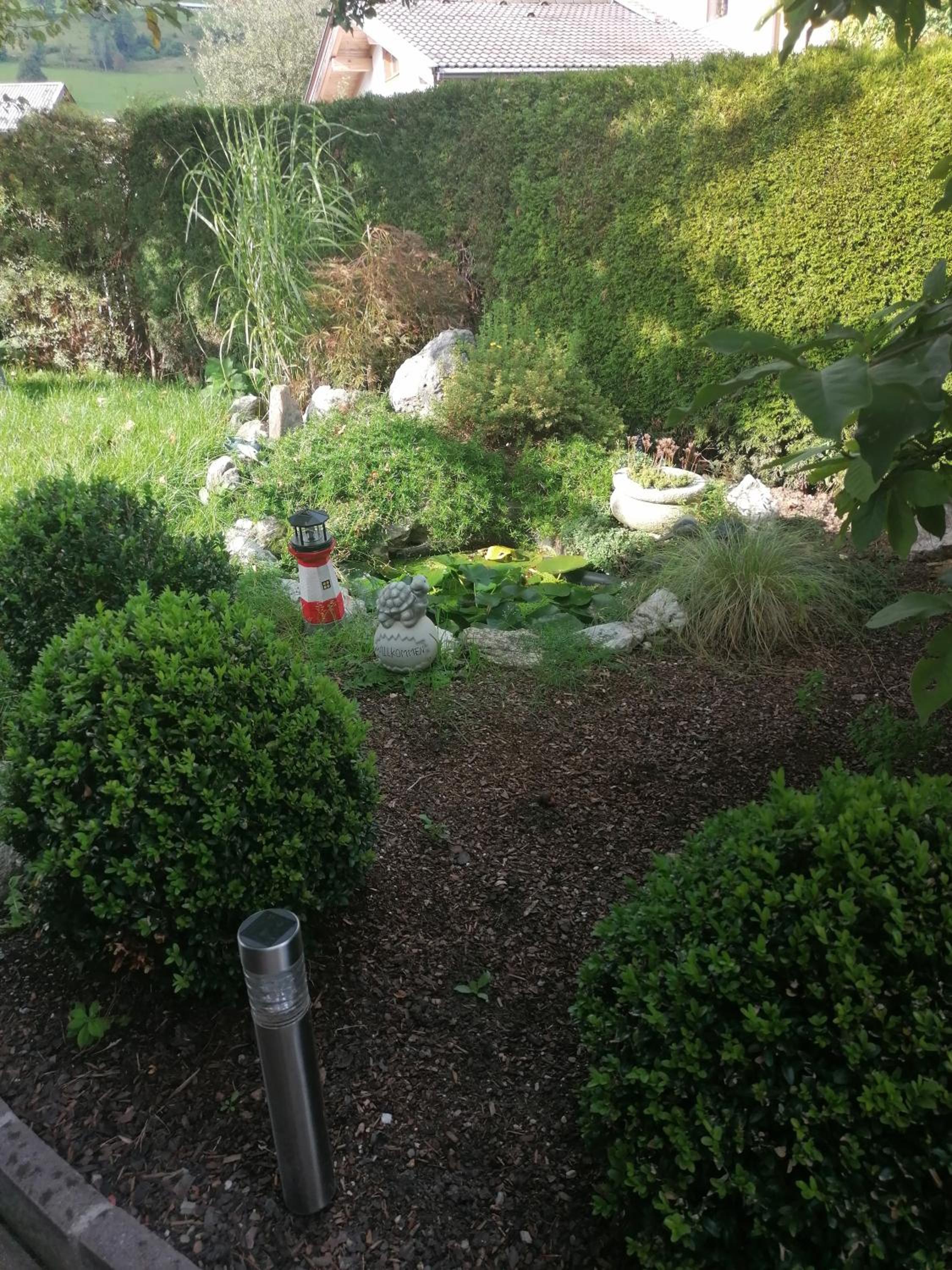 Photo 37