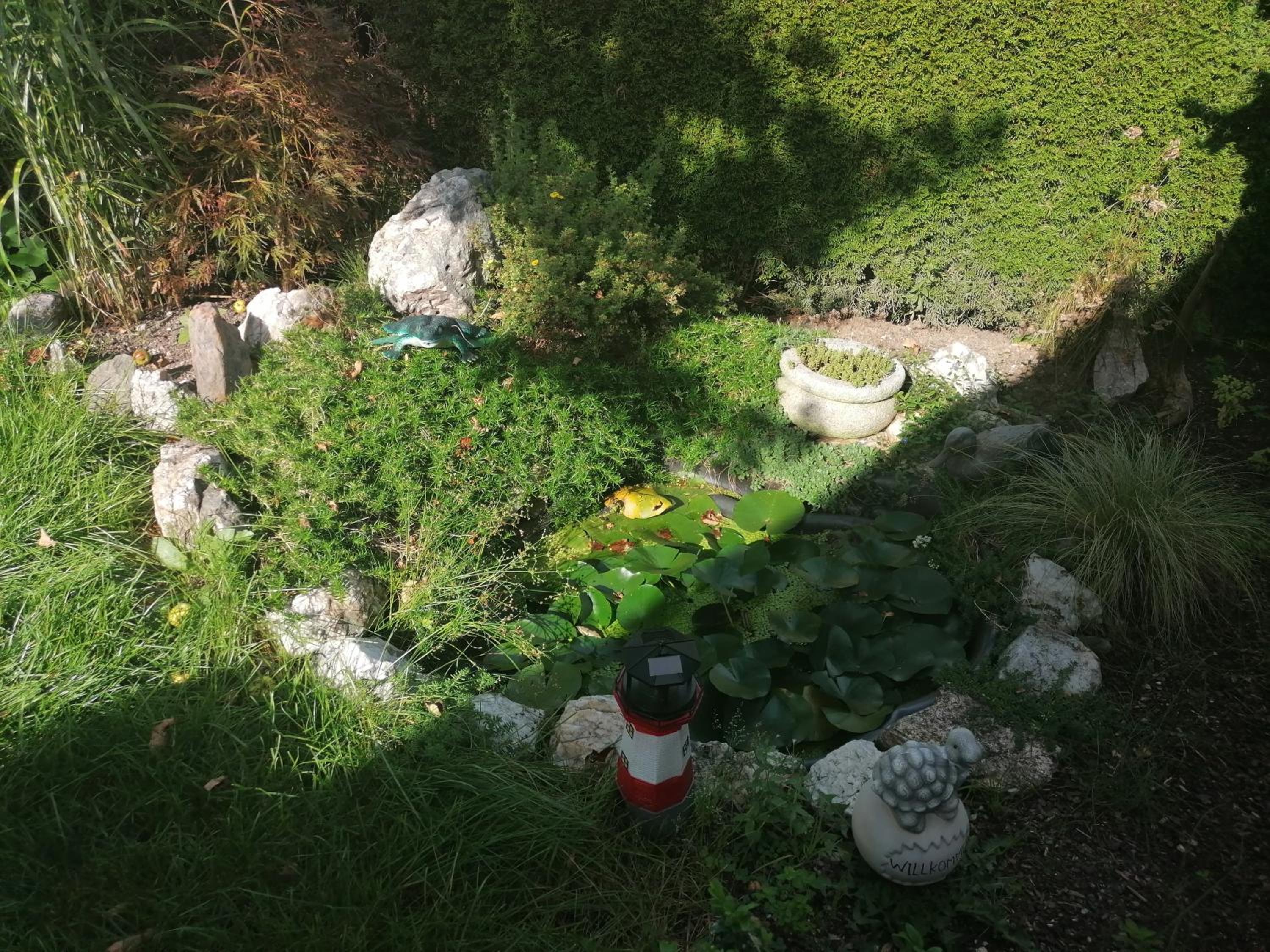 Photo 34