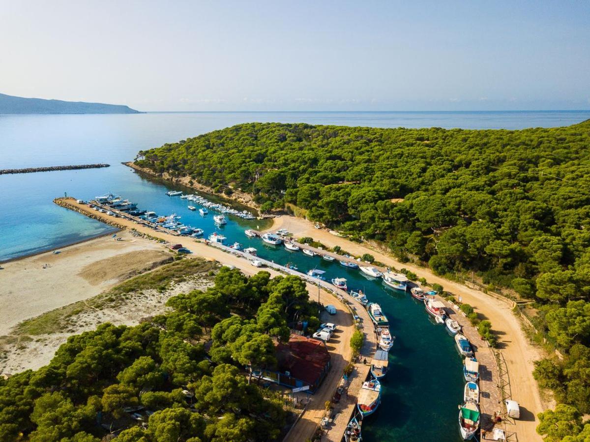 Villa Clelia al mare view 5