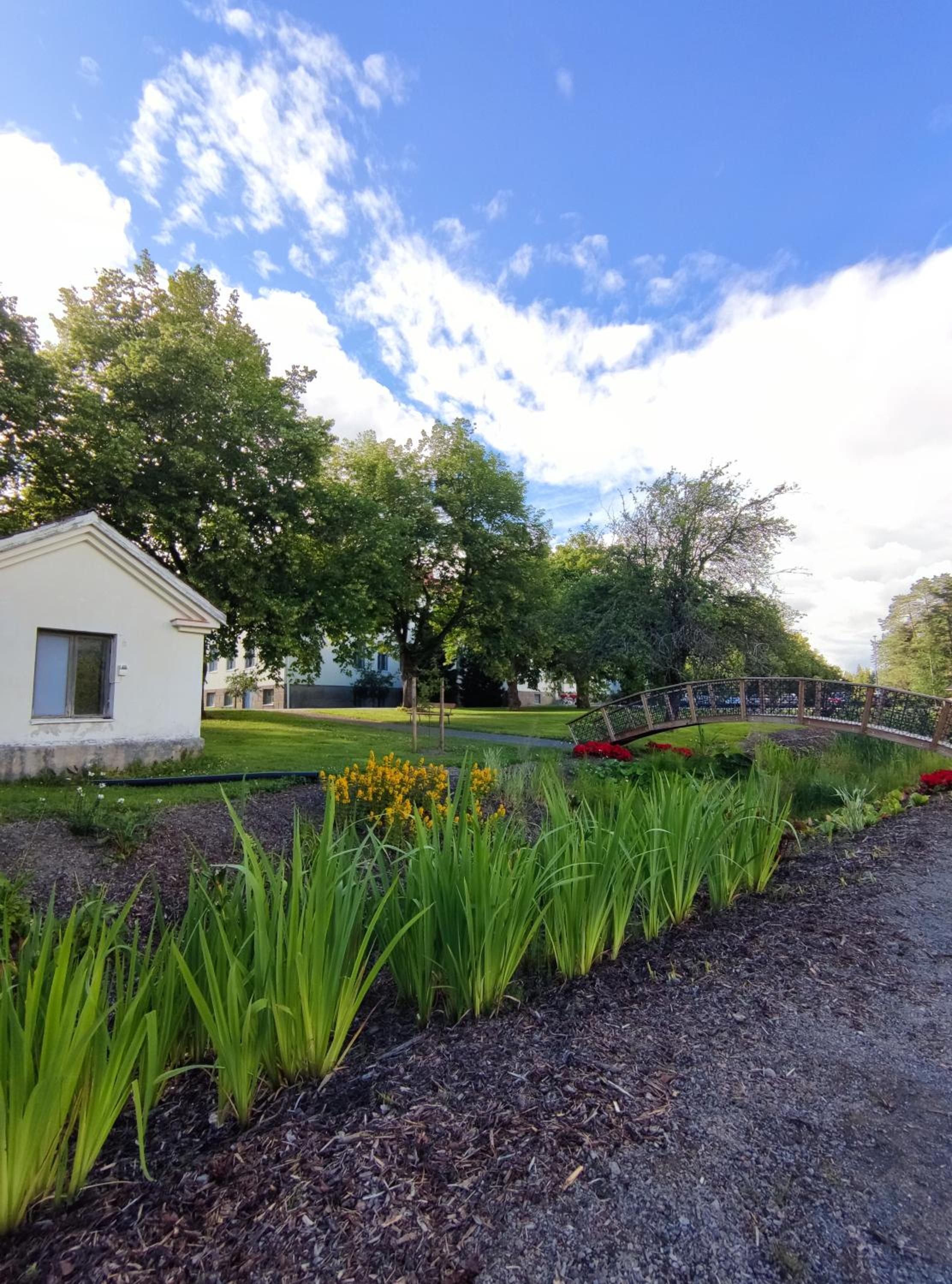 Photo 23