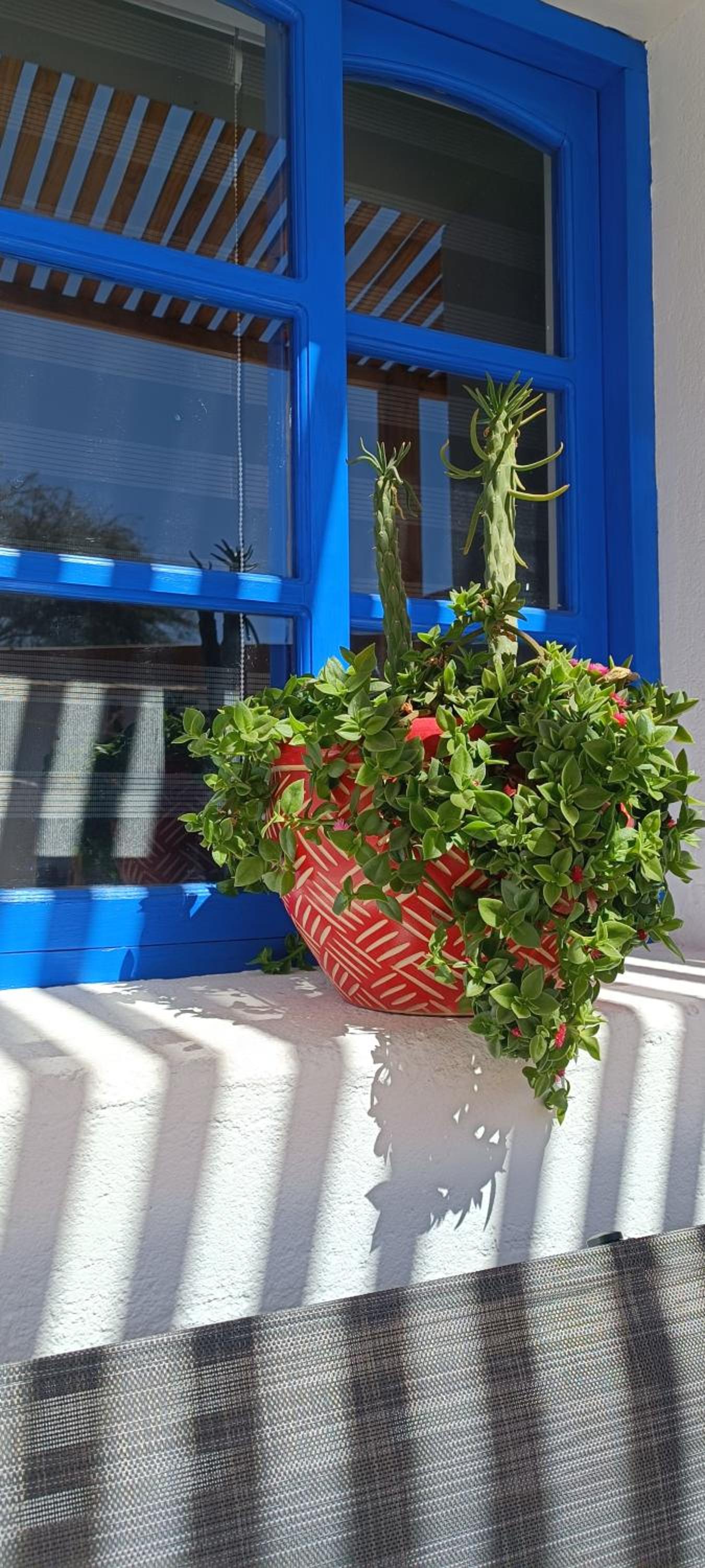 La Rukka Hostal Boutique