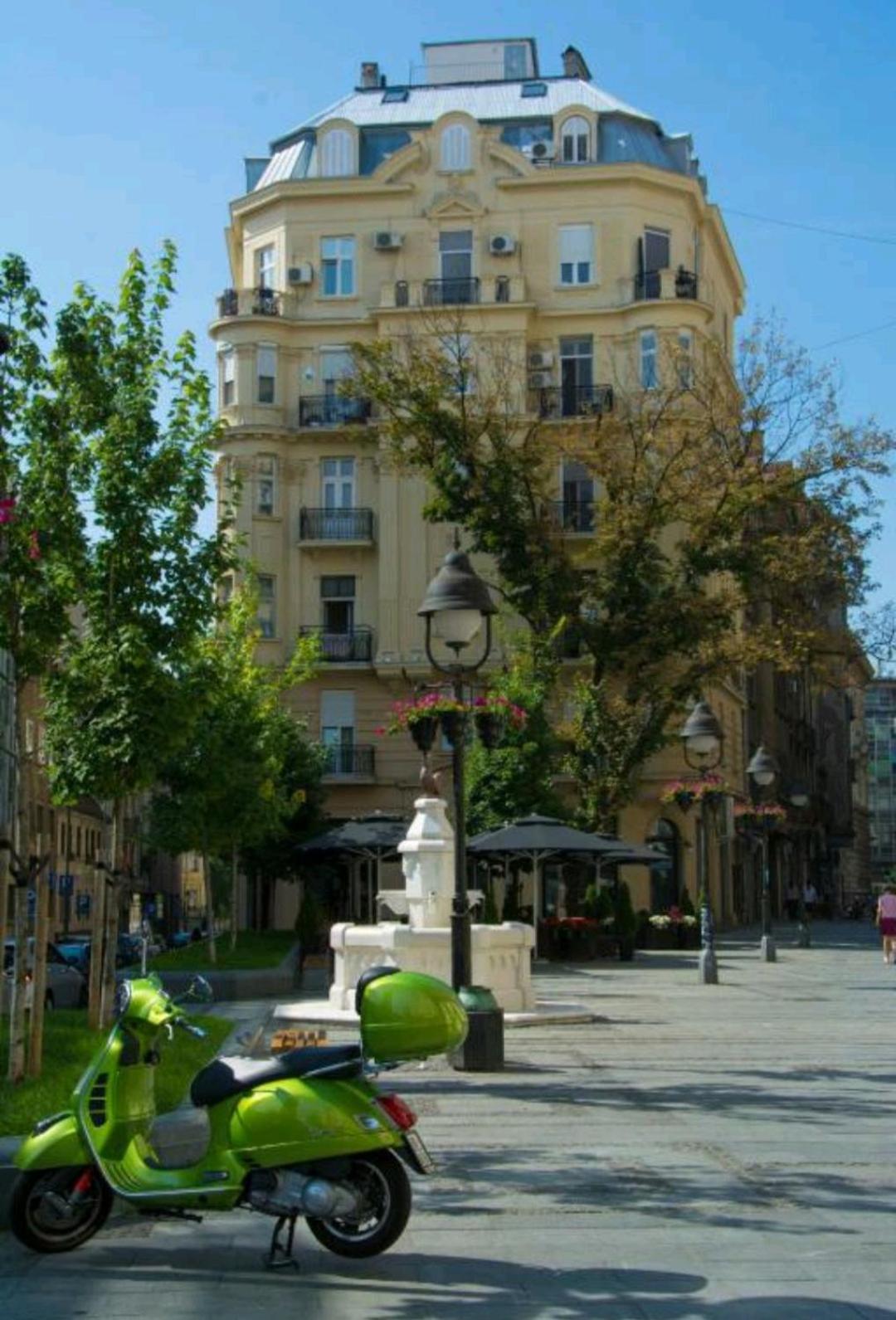 Photo 19