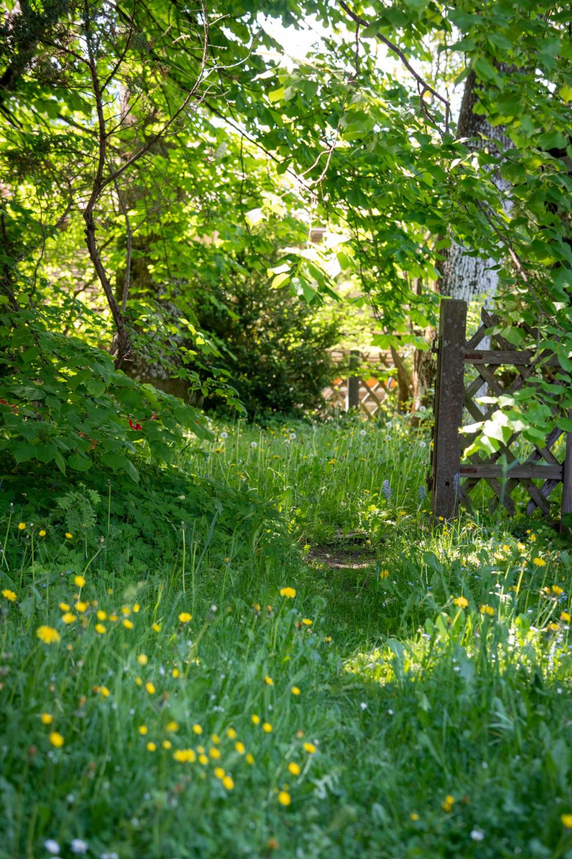 Landhauswohnung mit wildromantischem Garten
