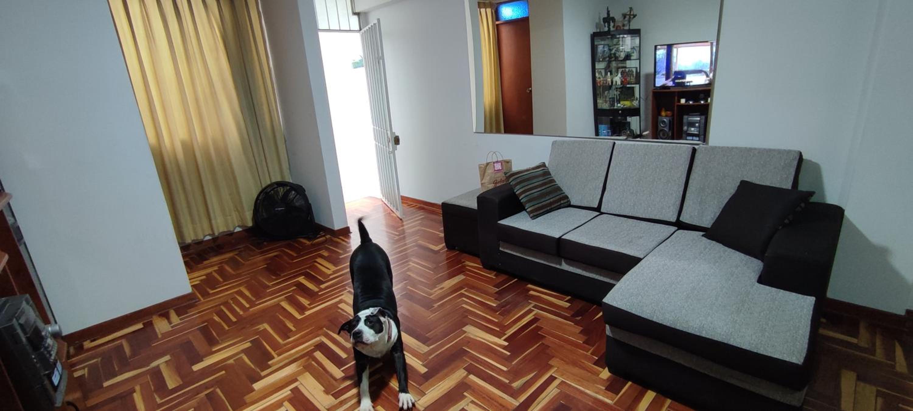 Apartamento Marco Airport
