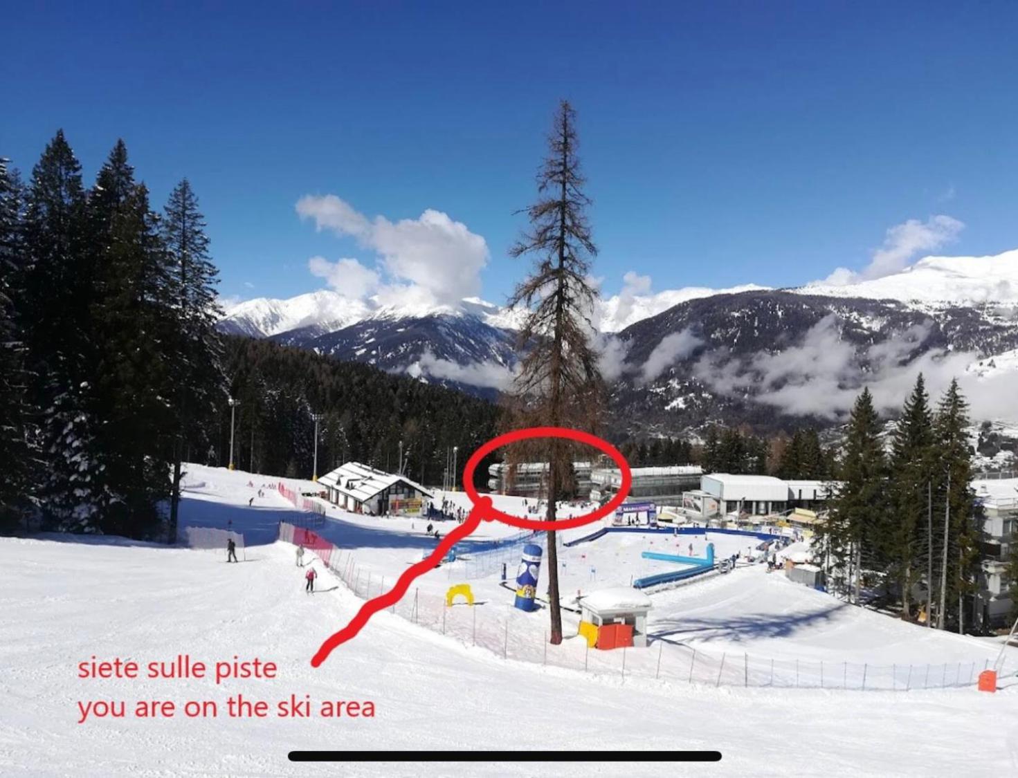 RESIDENCE ARTUICK AP.556 DIRETTAMENTE SULLE PISTE view 3
