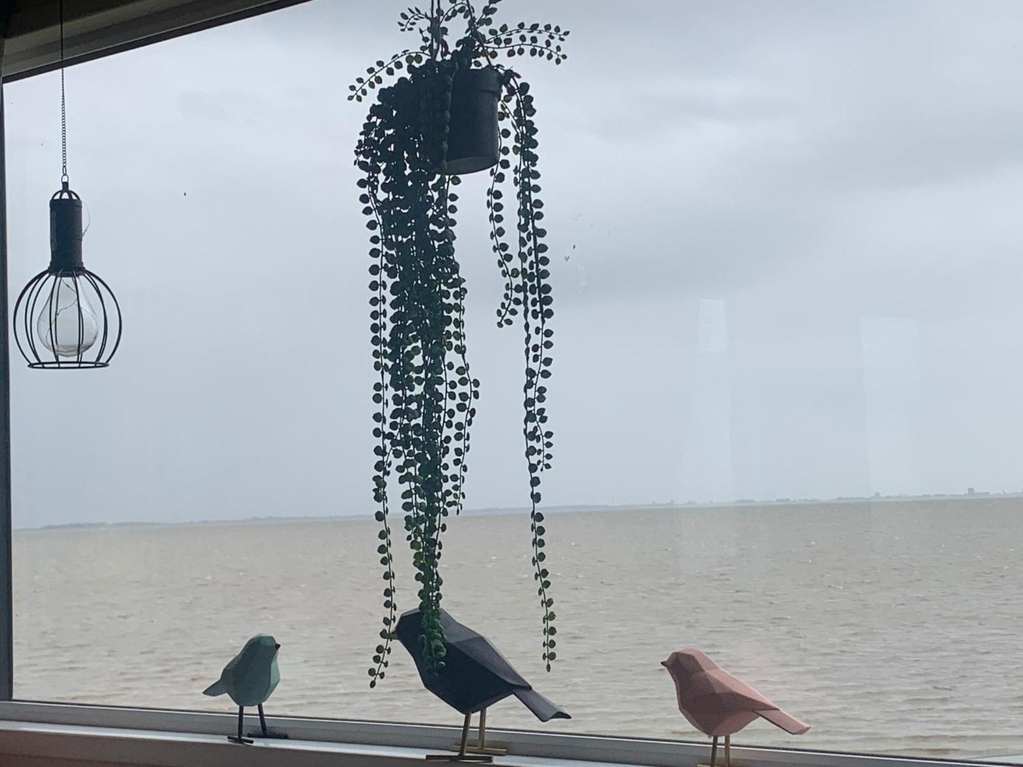 Traumlage Nr 58 Traumblick direkt am Wattenmeer erste Reihe unendliche Weite, eingebettet in der Natur view 2