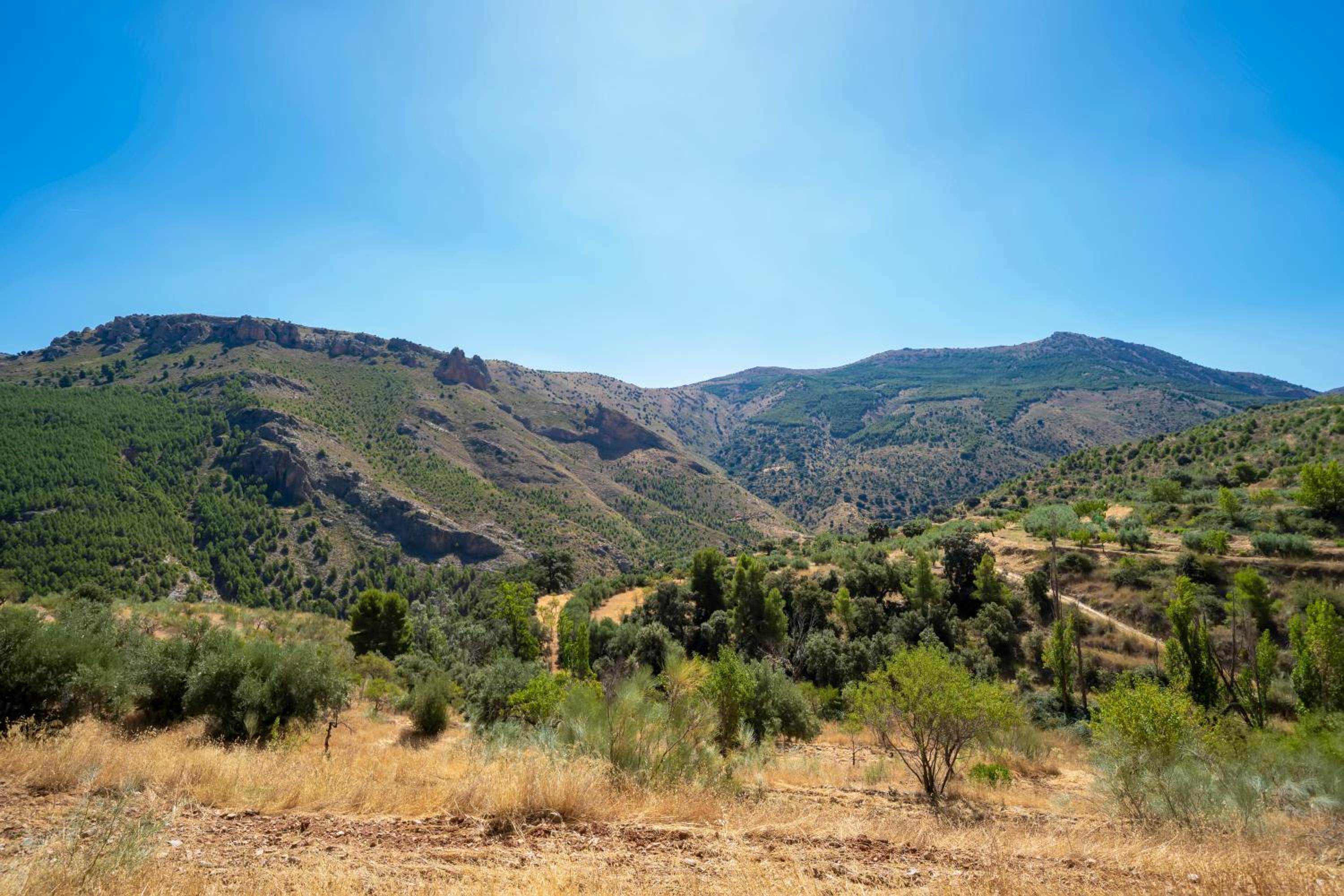 Cortijo El Chopo Almería