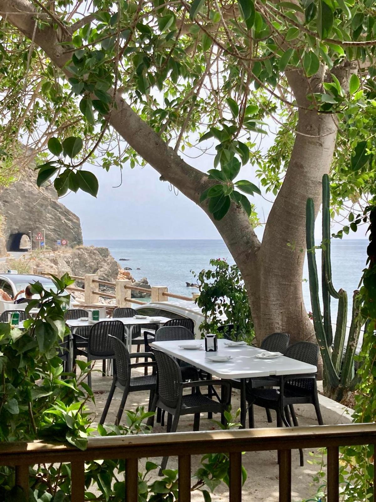 Casa Amigos Sorvilan- La Palmera