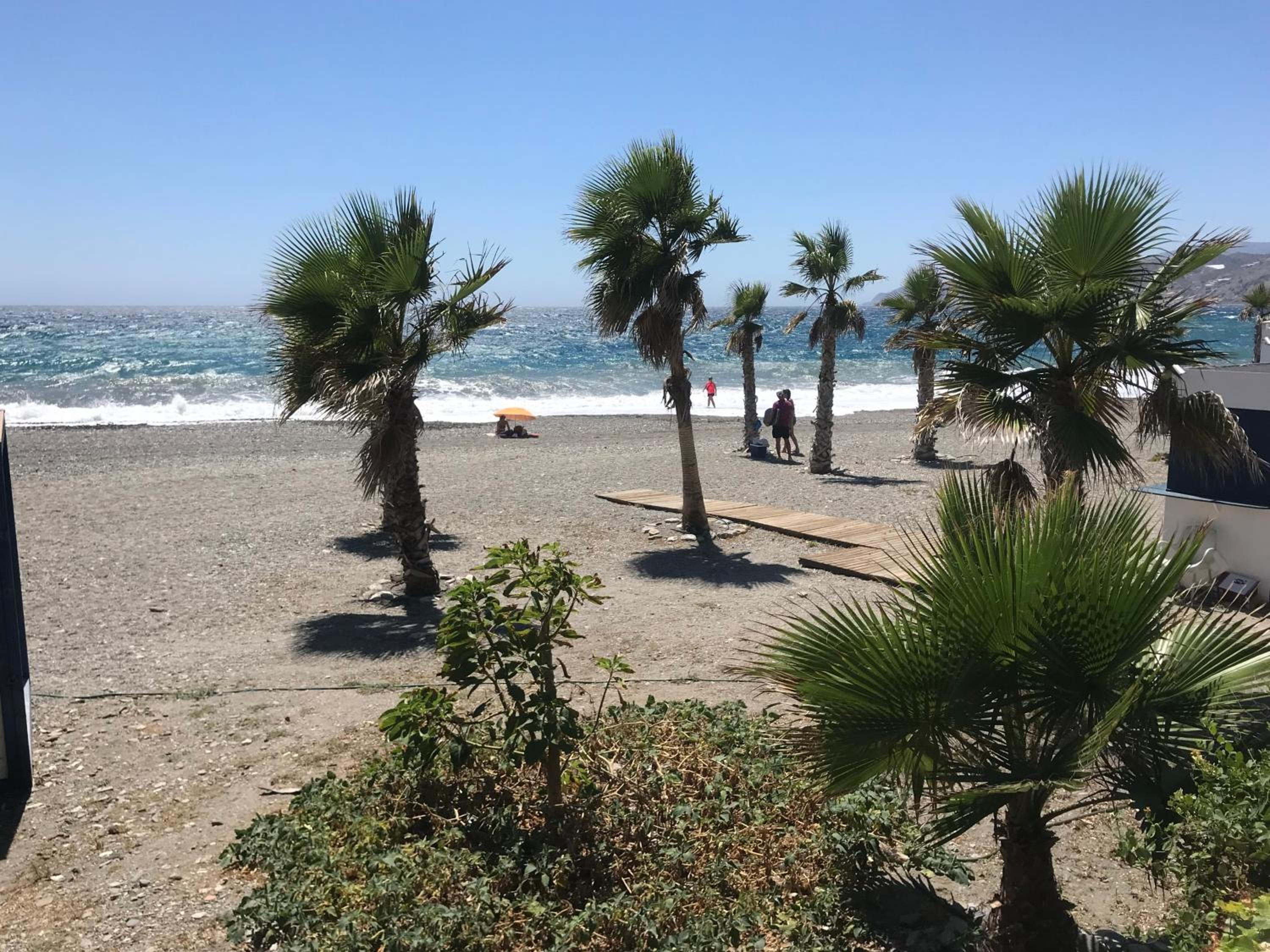 Casa Amigos Sorvilan- La Palmera