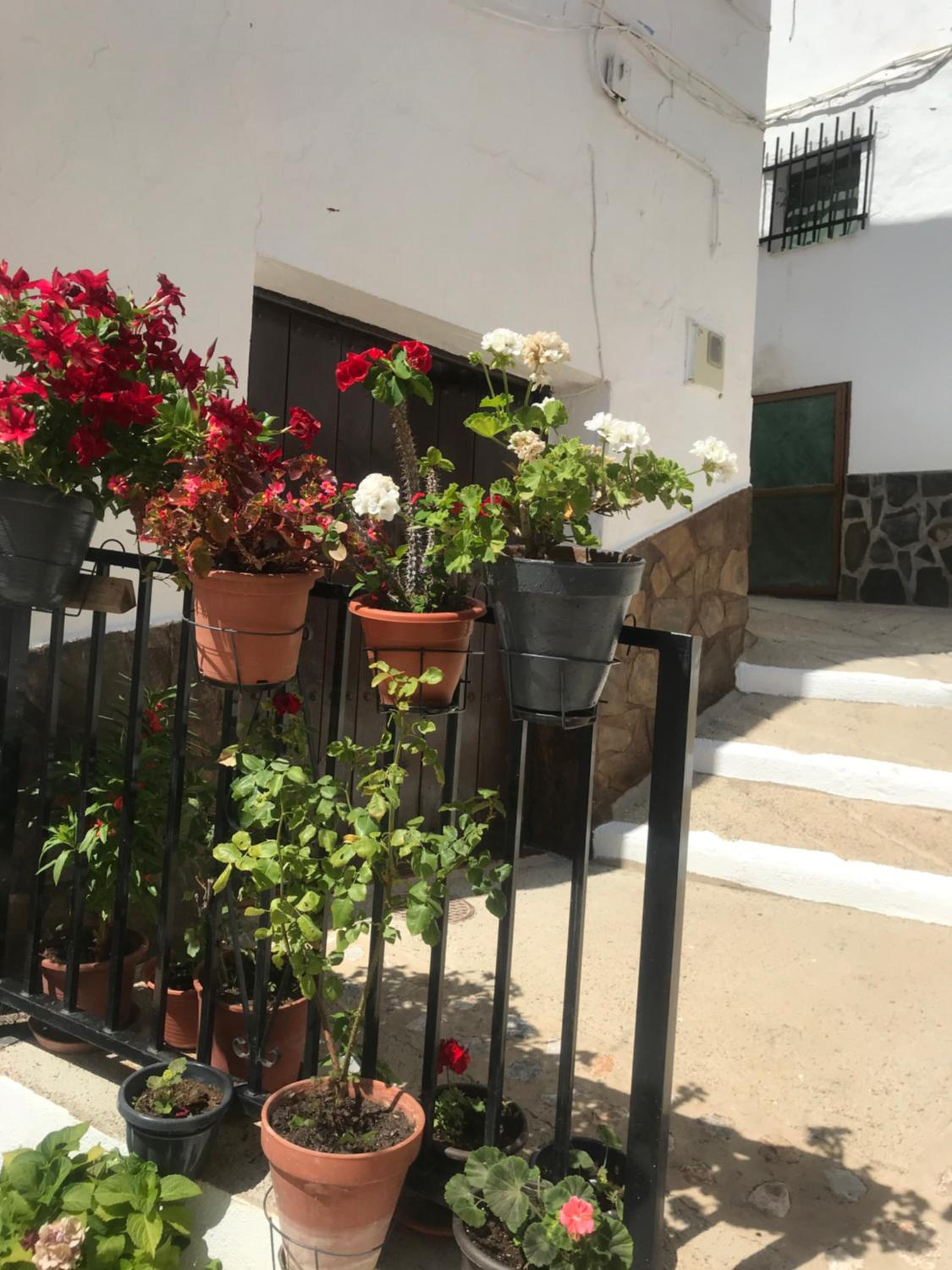 Casa Amigos Sorvilan- La Palmera