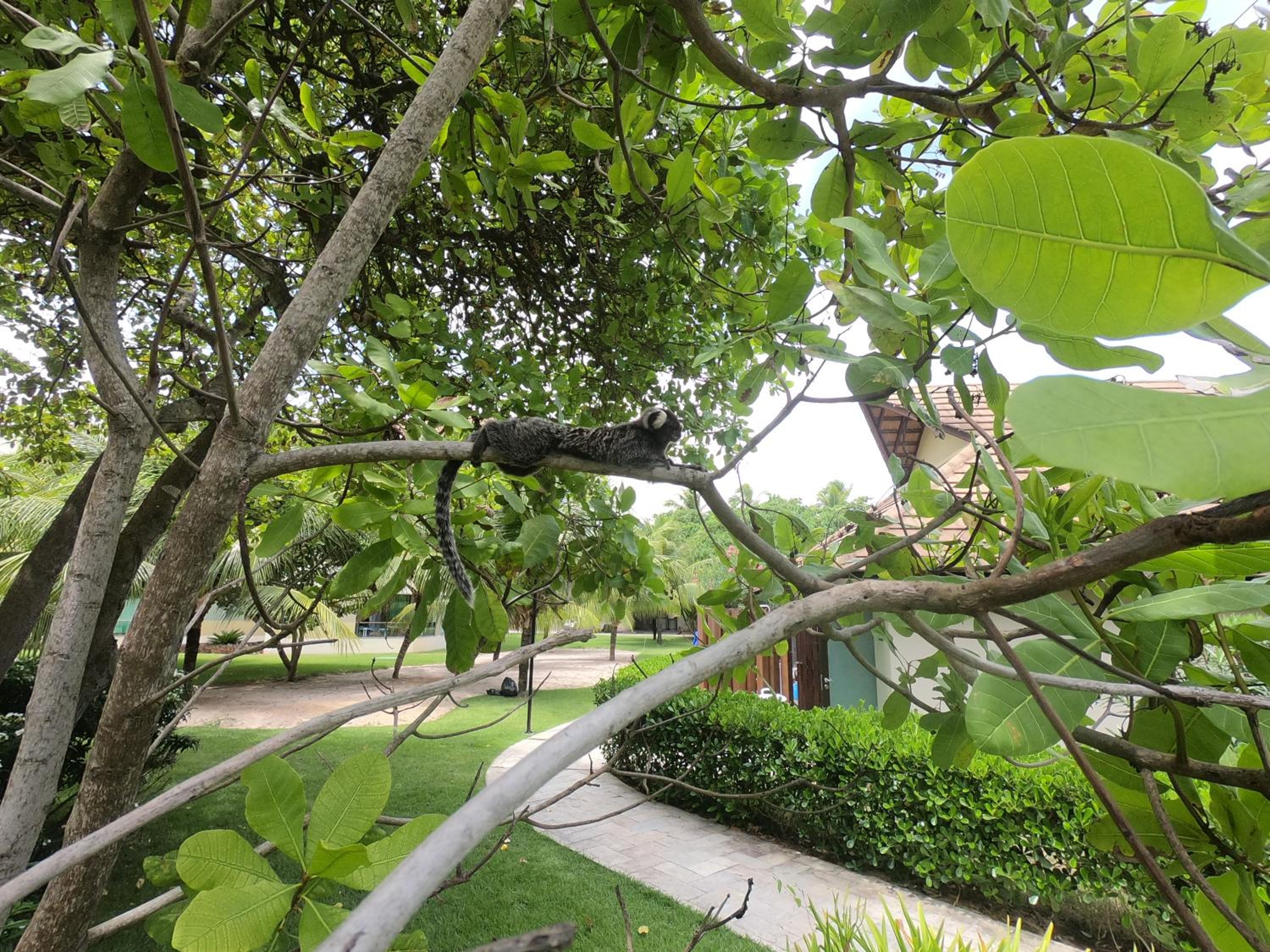 Carneiros Beach Resort 315 E