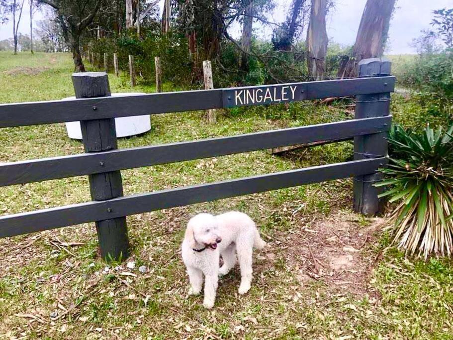 Dungog Farmstay - Kingaley
