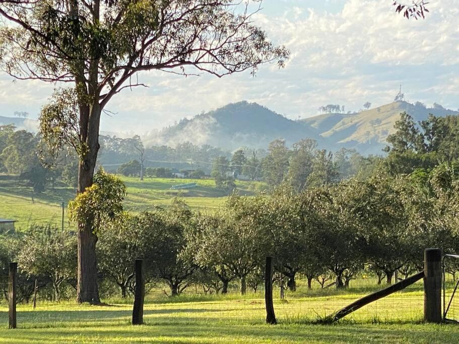 Dungog Farmstay - Kingaley