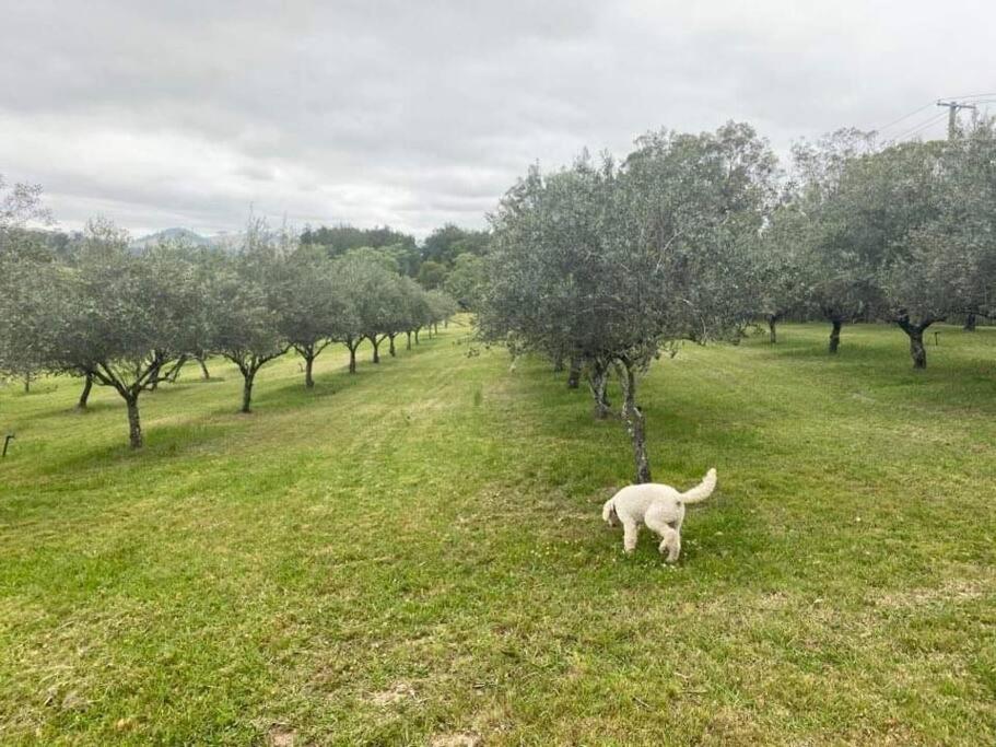 Dungog Farmstay - Kingaley