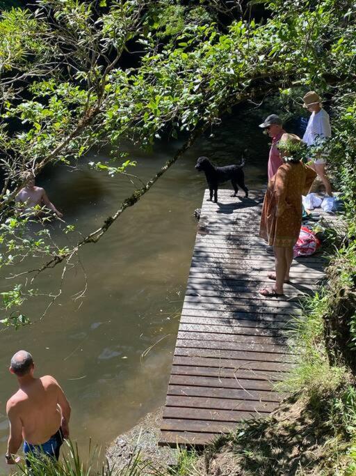 Dungog Farmstay - Kingaley