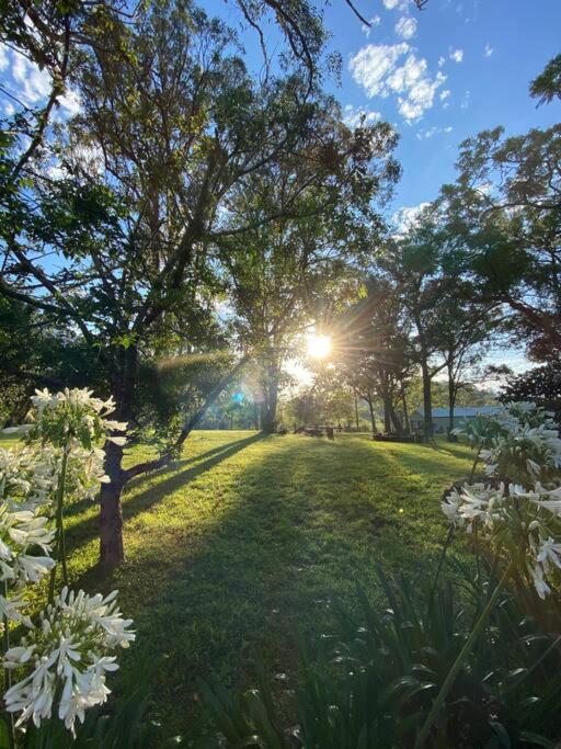 Dungog Farmstay - Kingaley