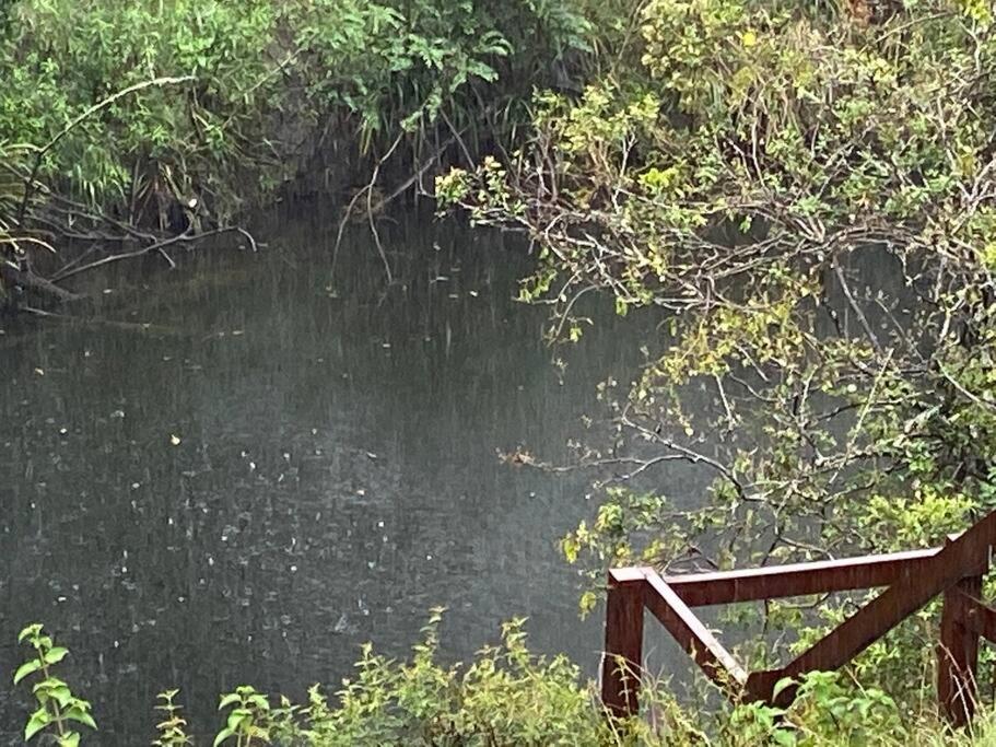 Dungog Farmstay - Kingaley