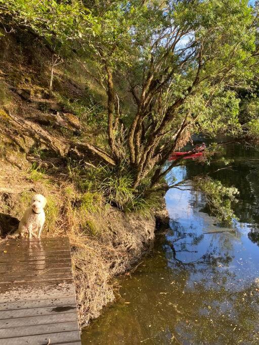 Dungog Farmstay - Kingaley