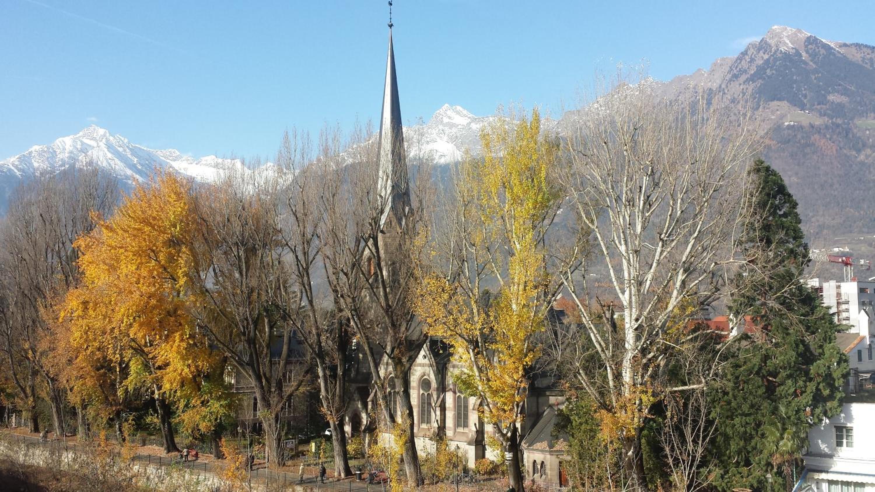 Photo 31