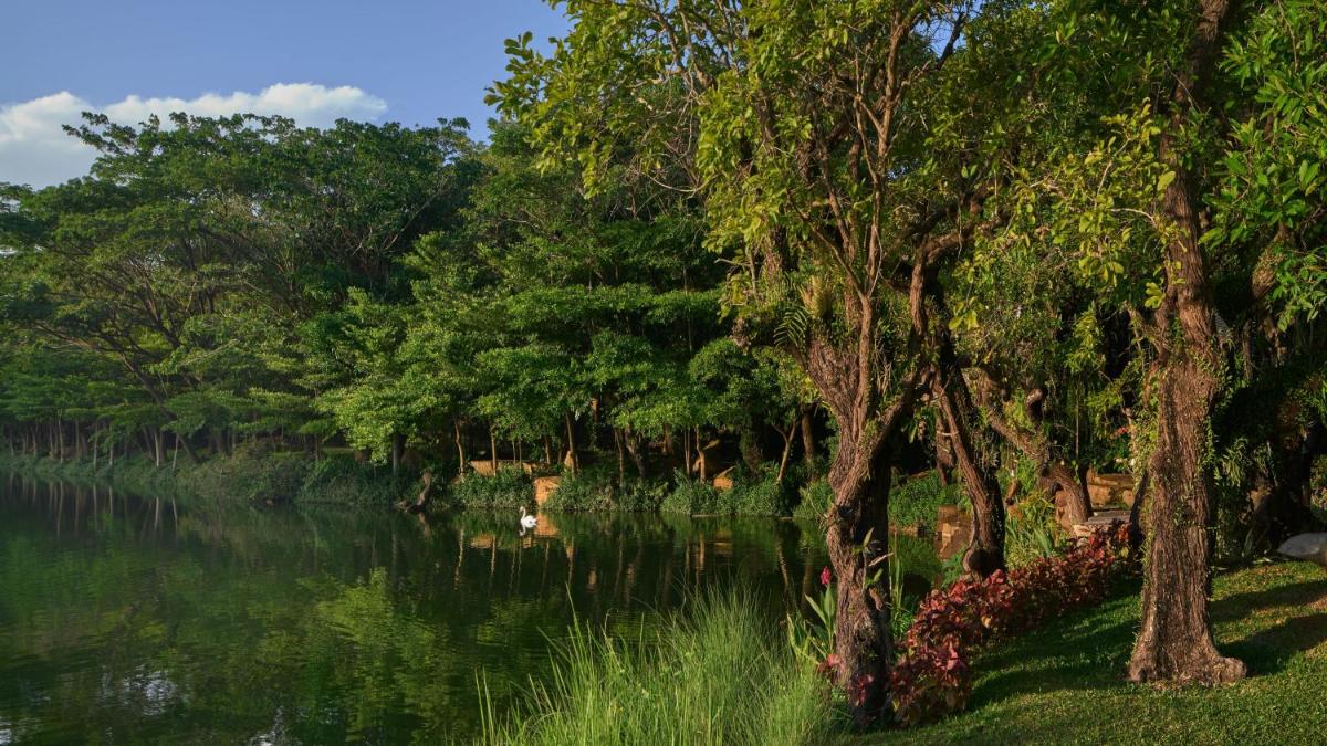 Intercontinental Khao Yai Resort by IHG 39
