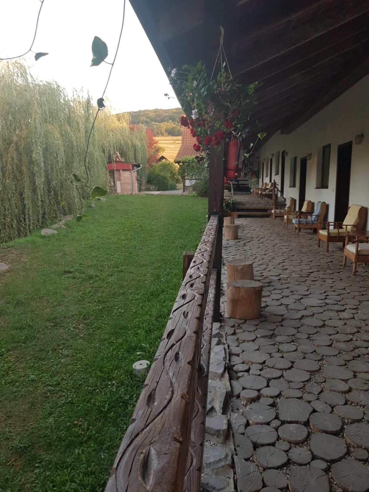 Vila Sura Razoare view 3