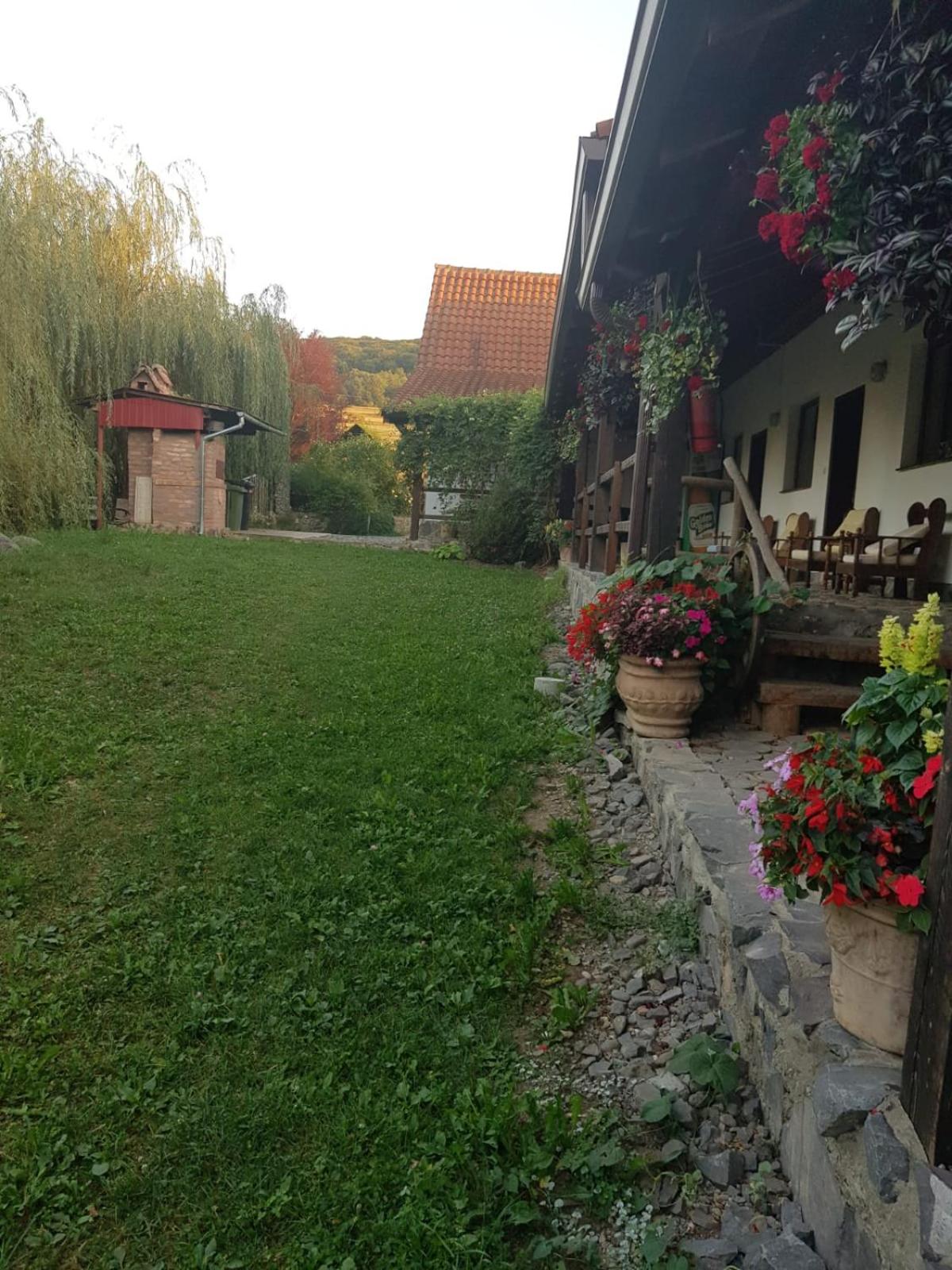 Photo 28